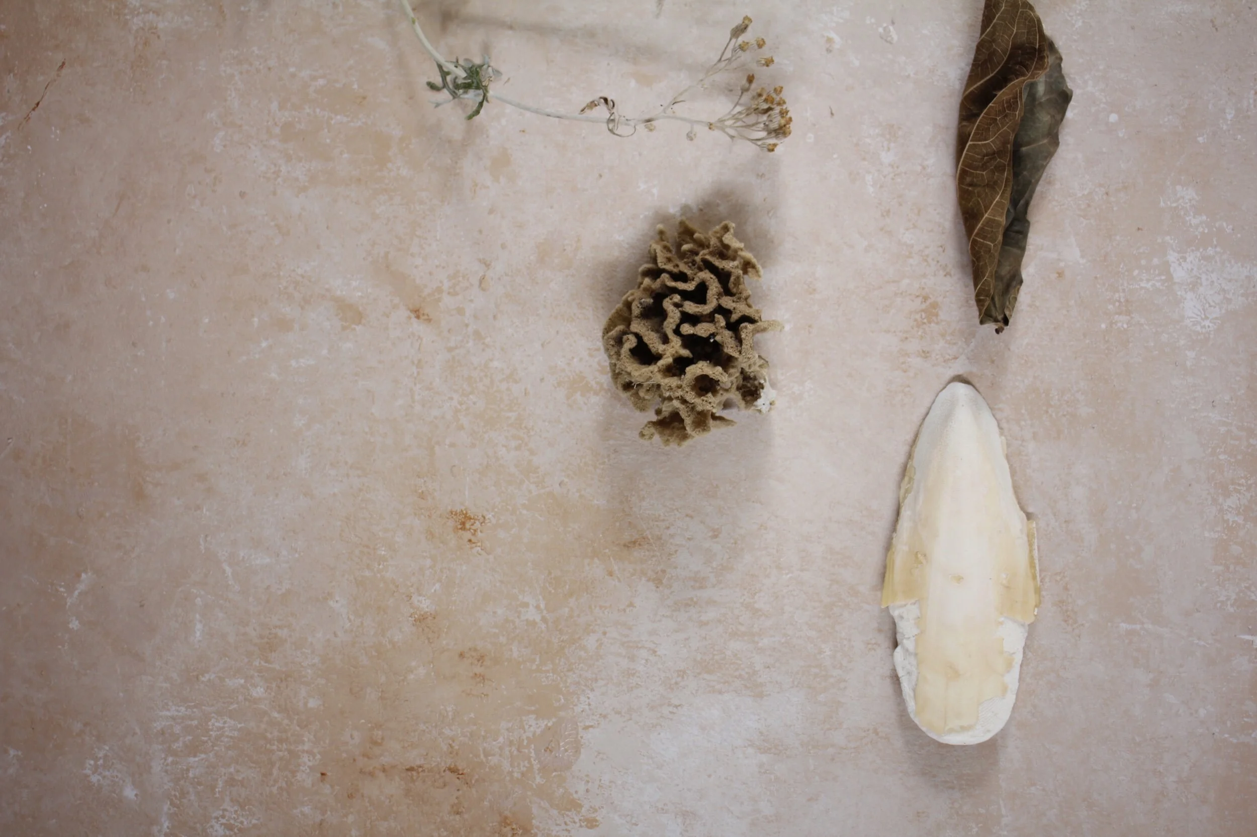 E320C5DA-7102-4D2F-AB07-E21A73F2959C