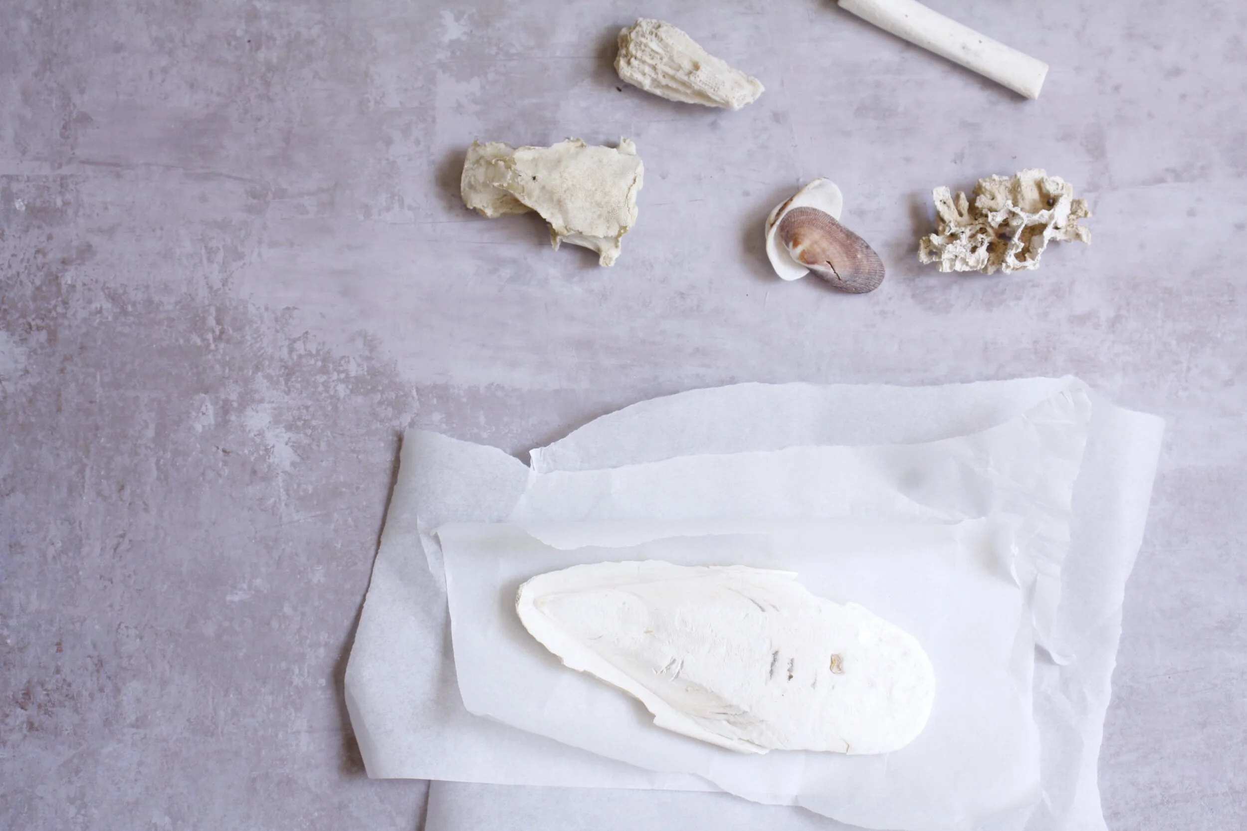 ABFAA9F5-1187-42F6-924D-0EAB25306F93