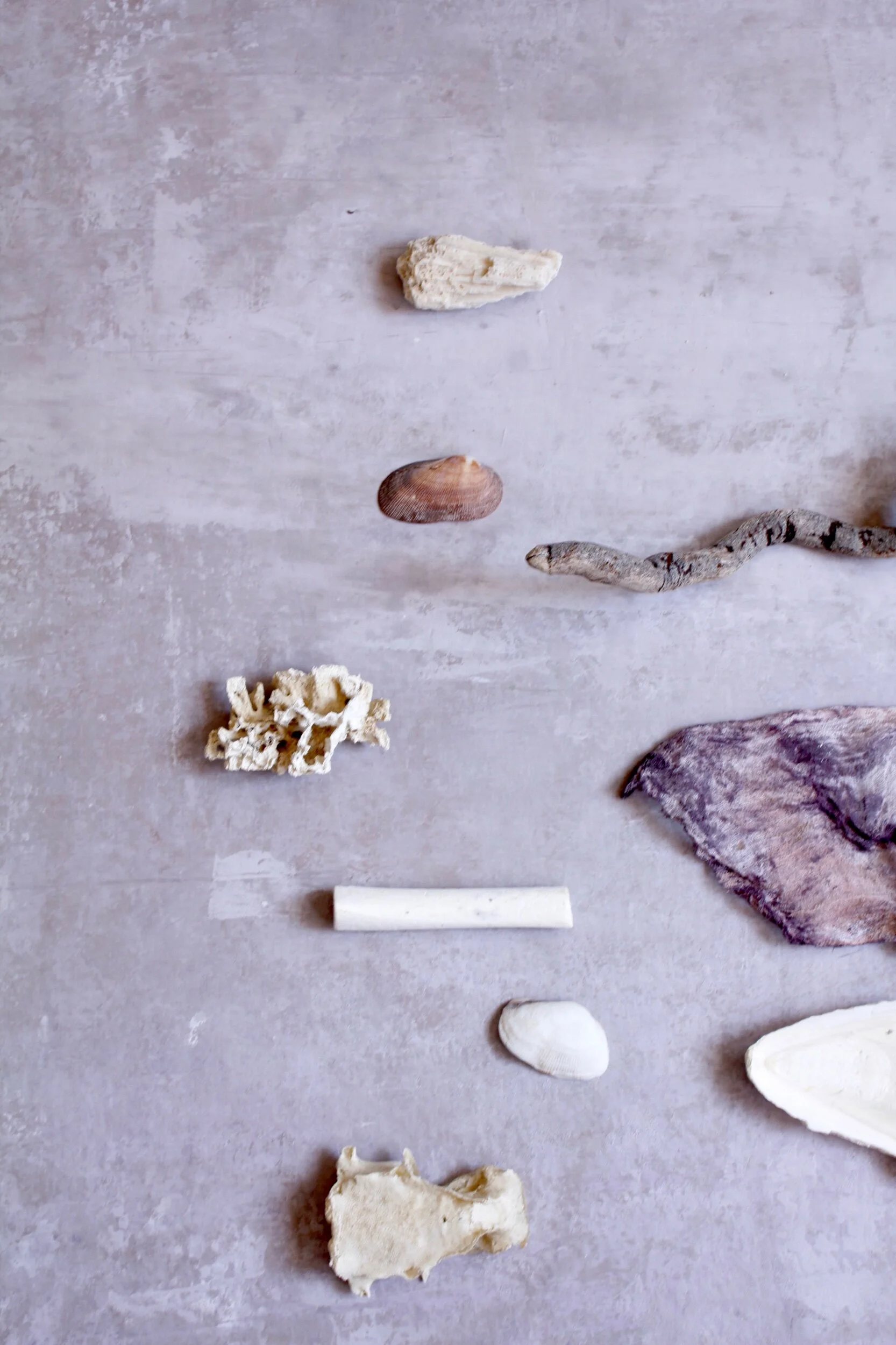 07C81EA6-B375-415F-9982-251907B37F8E