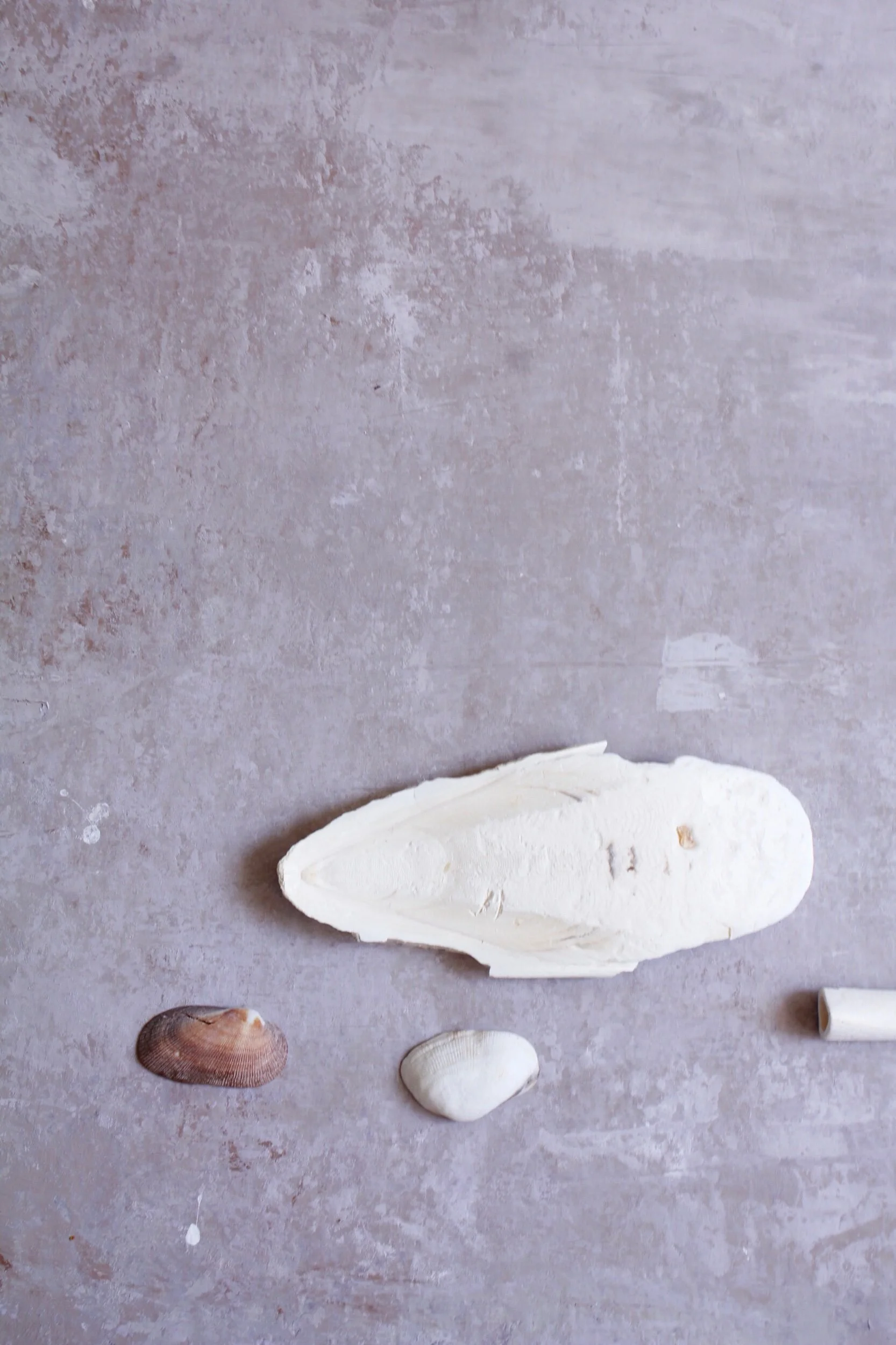 0761E9B6-9E70-4BF9-B793-06F7FBDECFB7