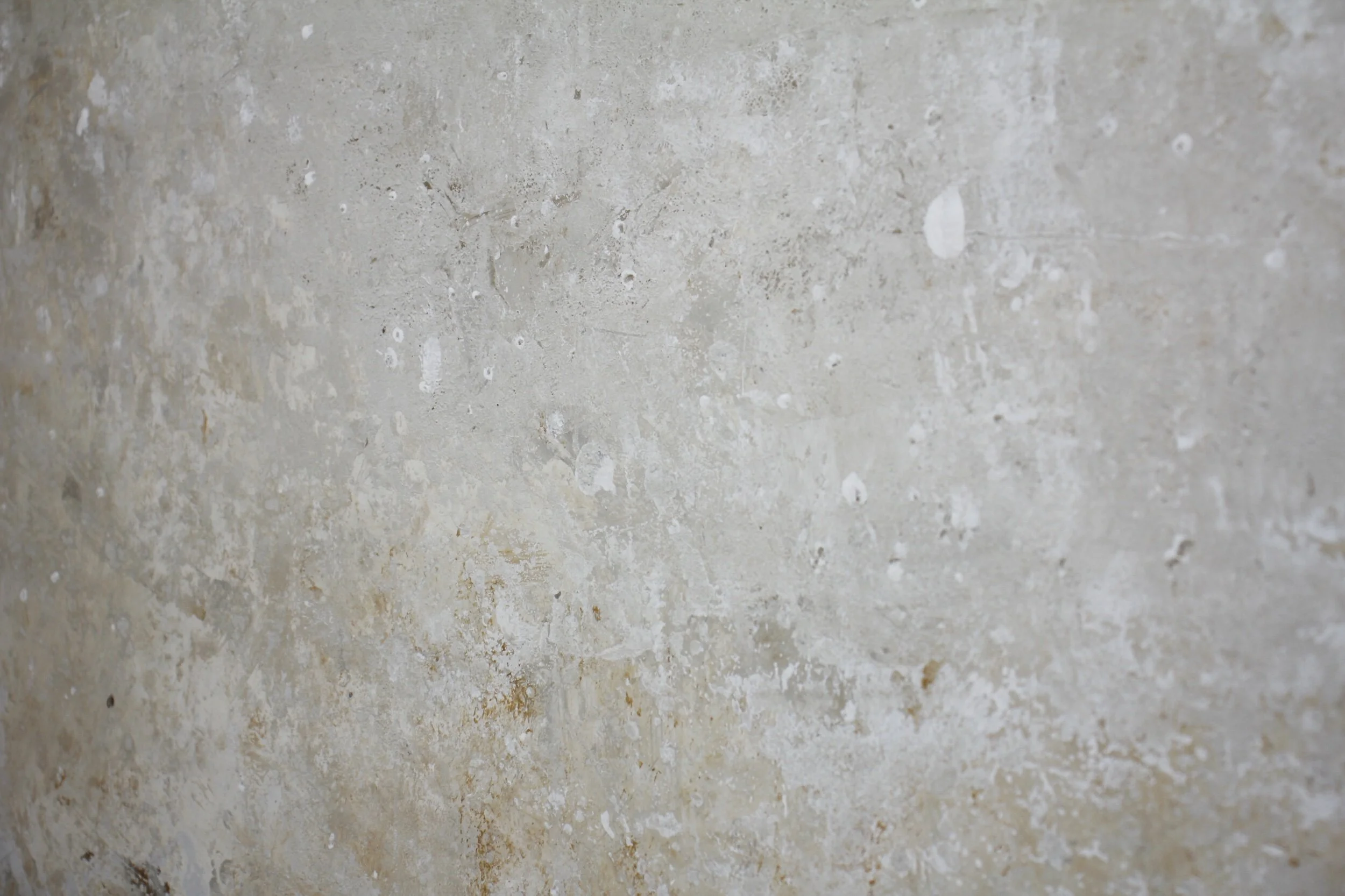 711E6AE1-2E3F-4D57-B39F-FF9700E262D1