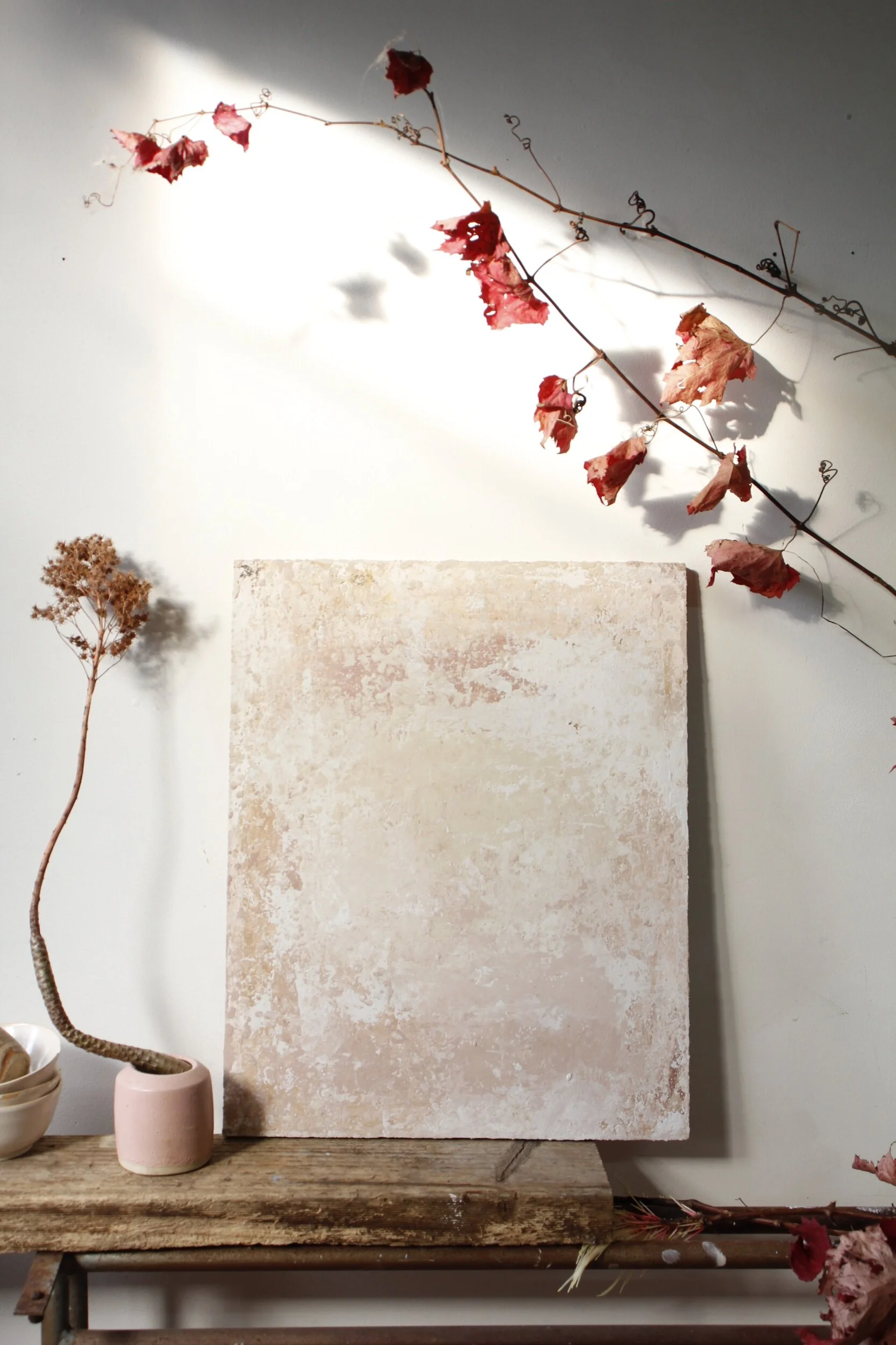 6E19D0F8-16A2-4B9A-9079-AFE6A2E81230