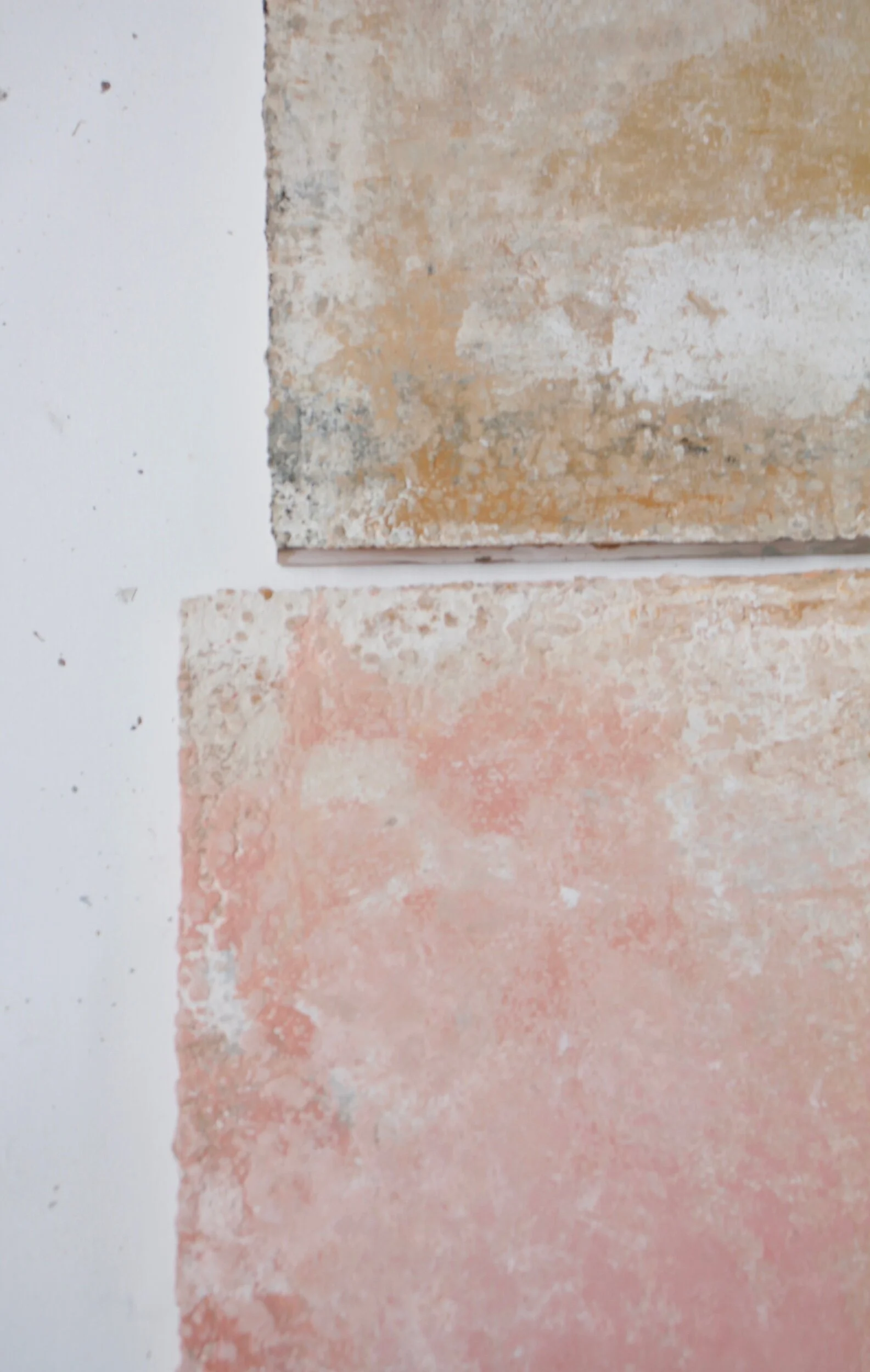 86B0A897-15DE-4884-8719-FFEFBA56D6F6