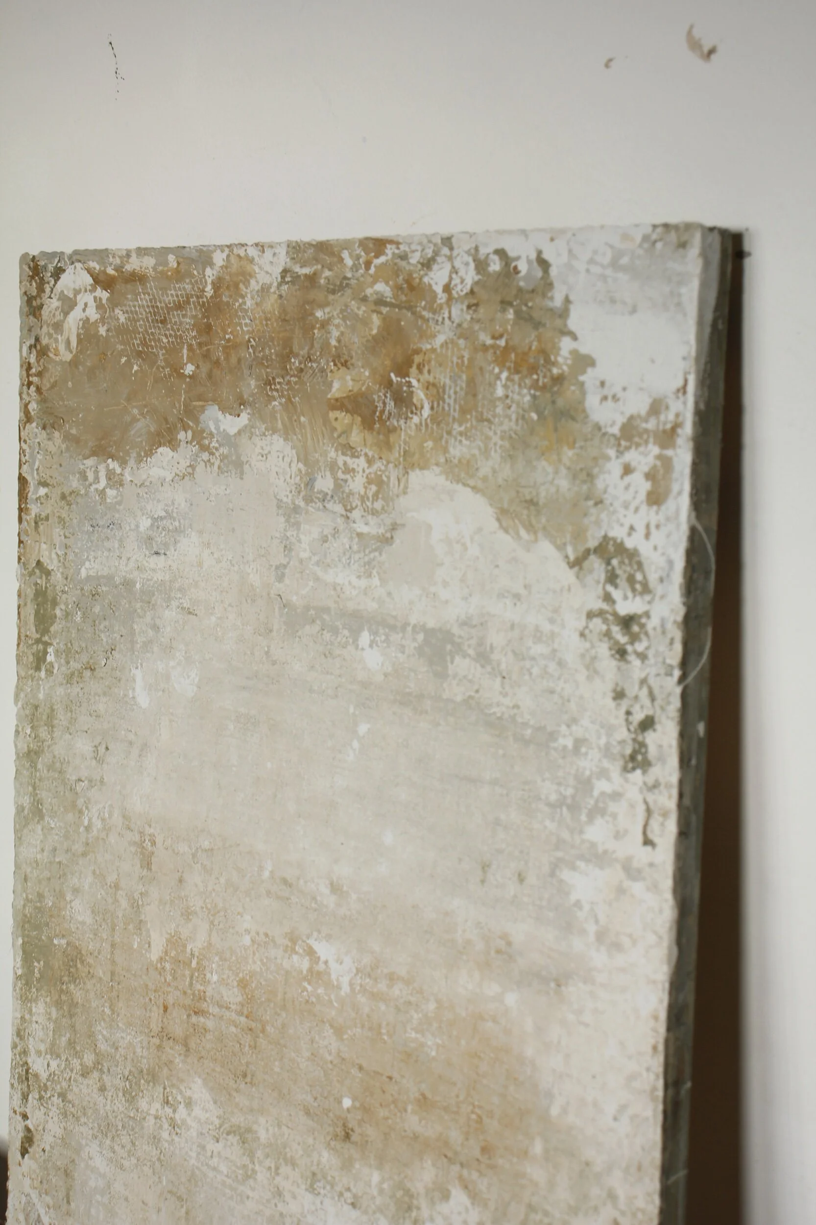 C725A3F7-B615-4FE5-9542-9FBE07472FE8