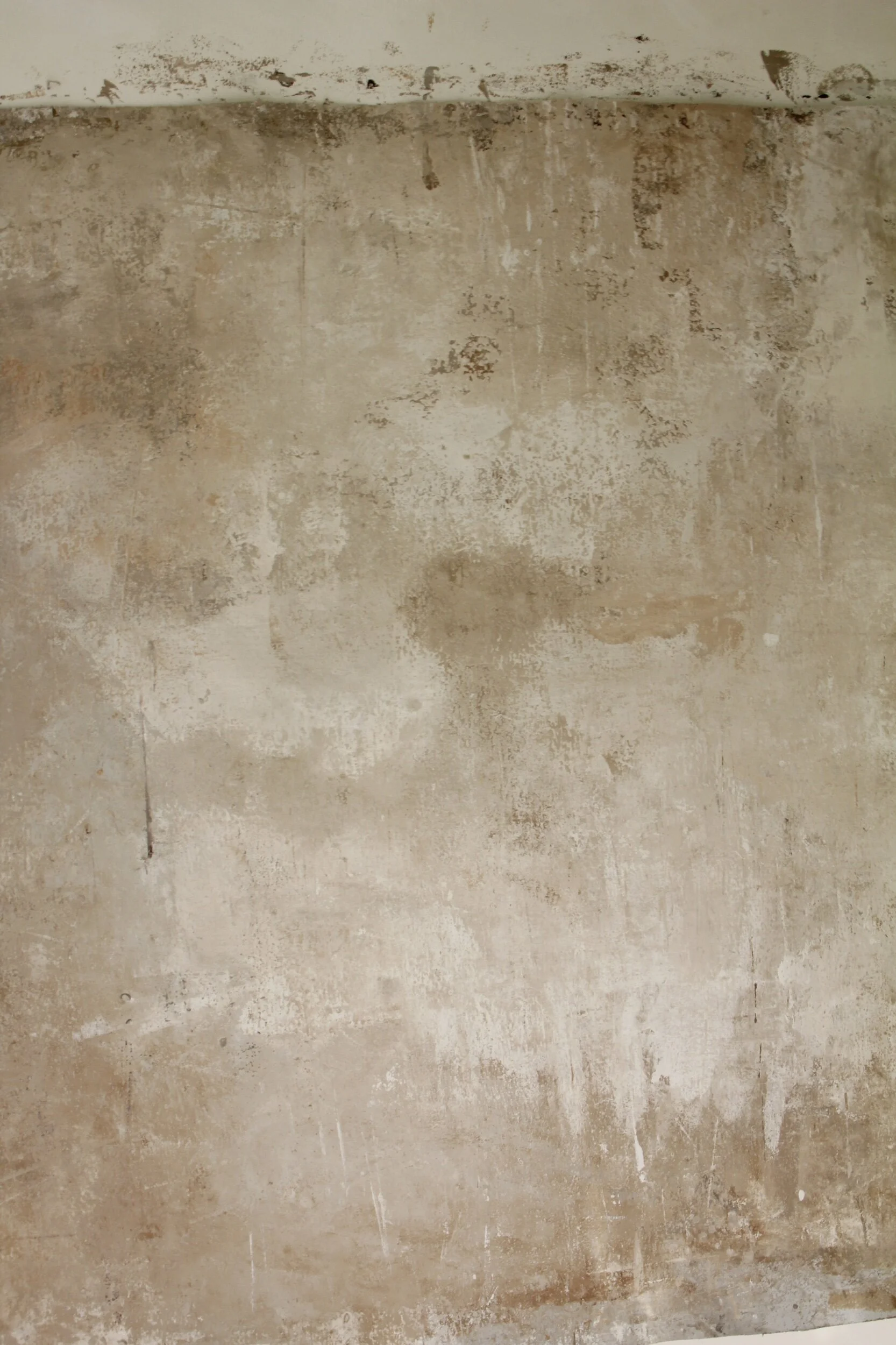 D676C8A8-6D52-40A7-B69E-72037333BF8D