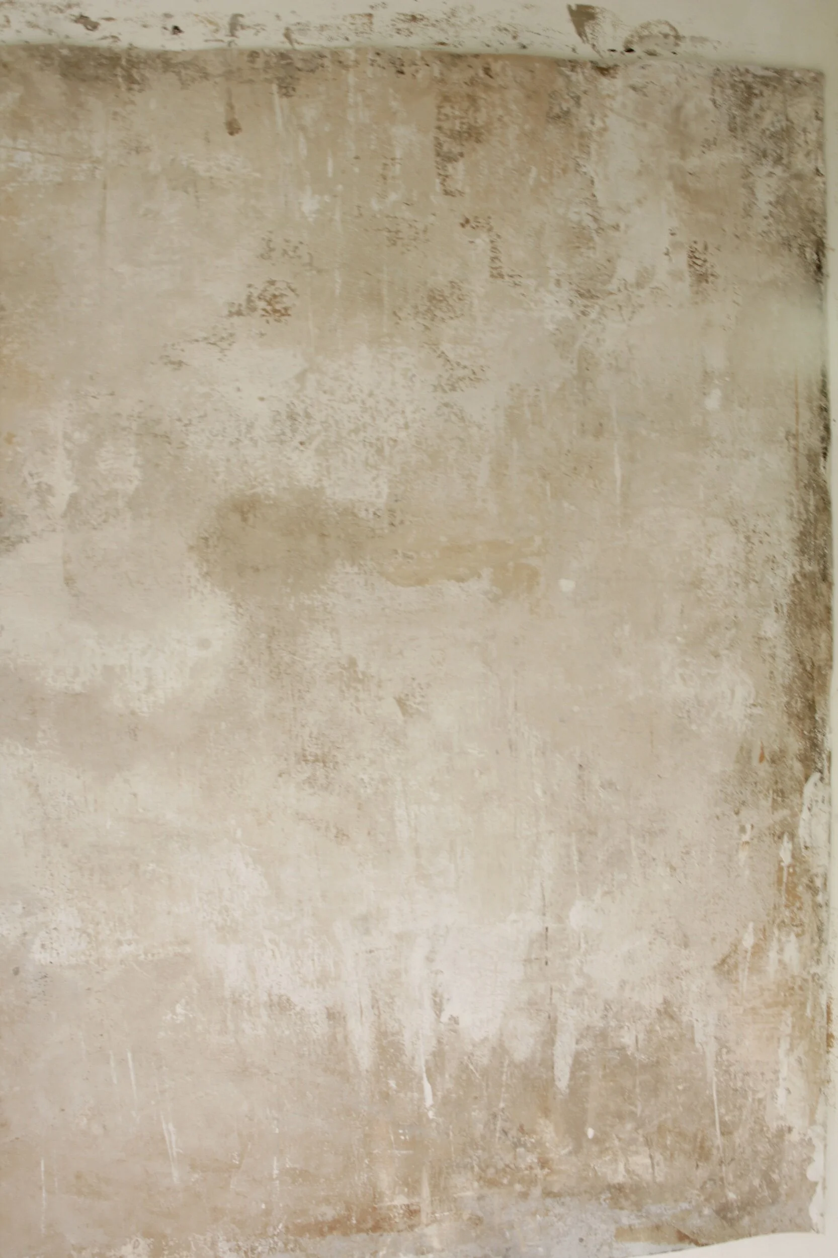 66FA4450-4D97-4F05-A420-DA9DFA1498A9