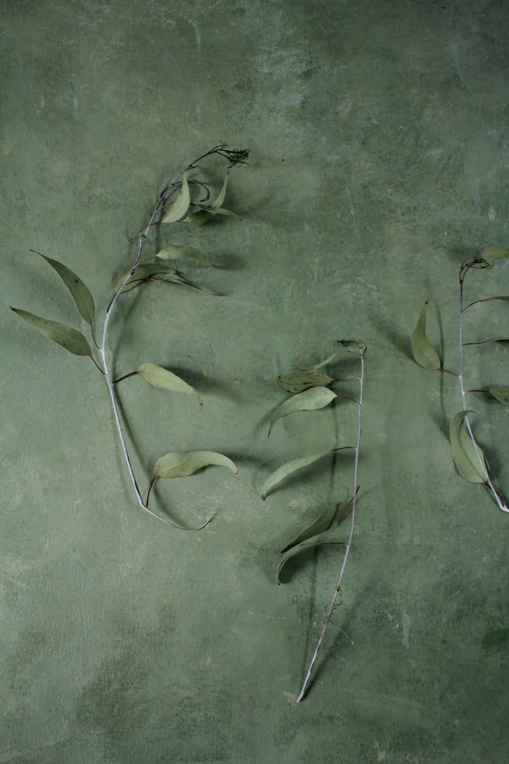 91DCD305-458E-4E6E-A64D-5DA54C010217