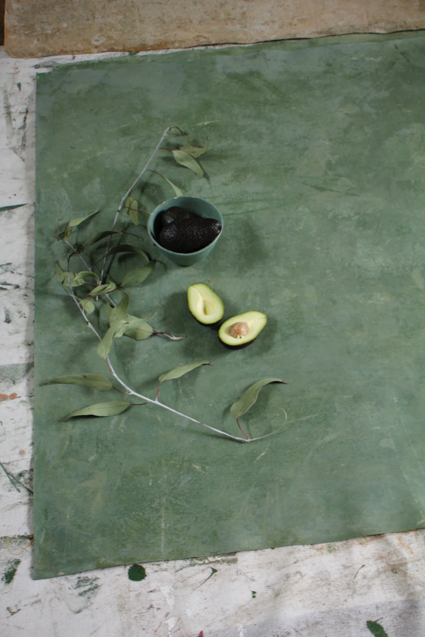 02B81EE4-ECEC-4260-B3B7-72BBC415BBB2