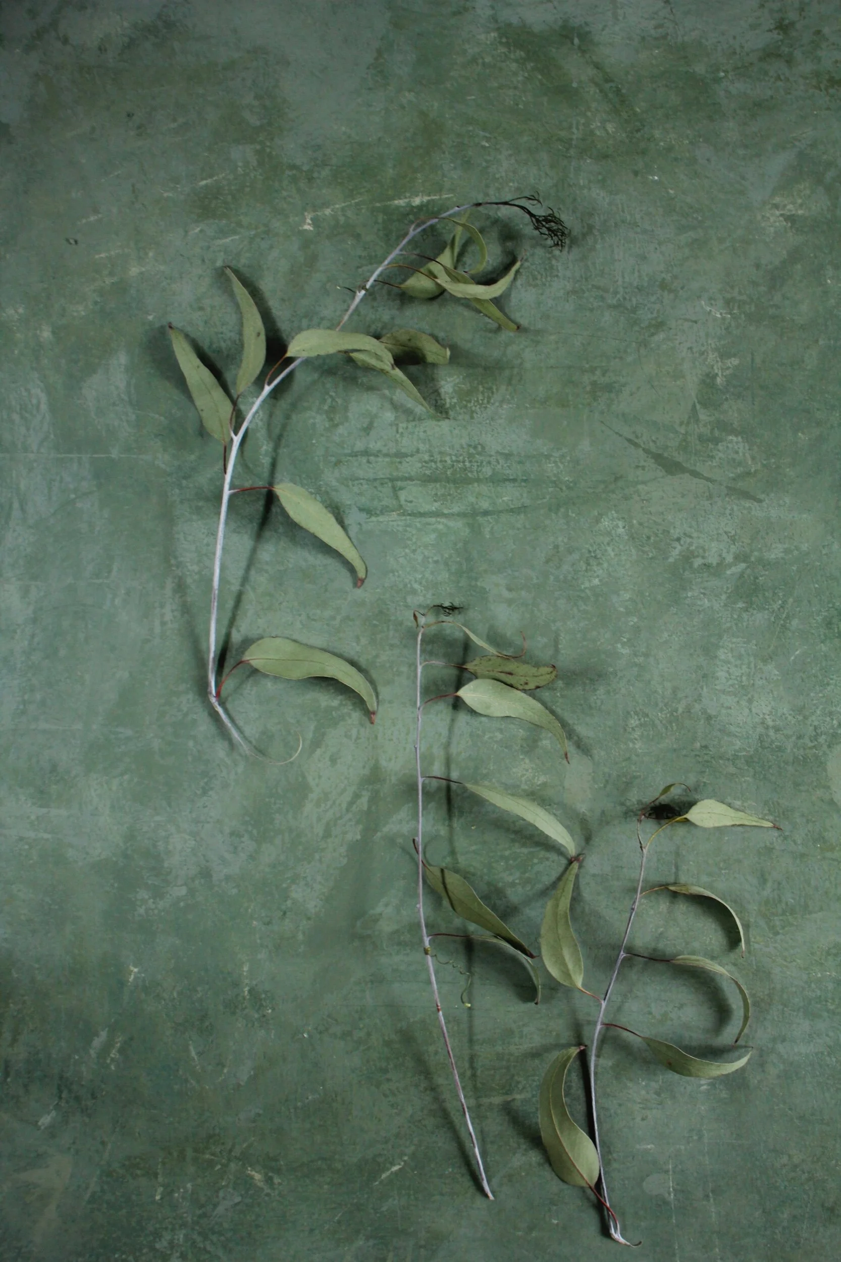 28F9F70A-85D8-419B-9BC6-CD2957C0073B