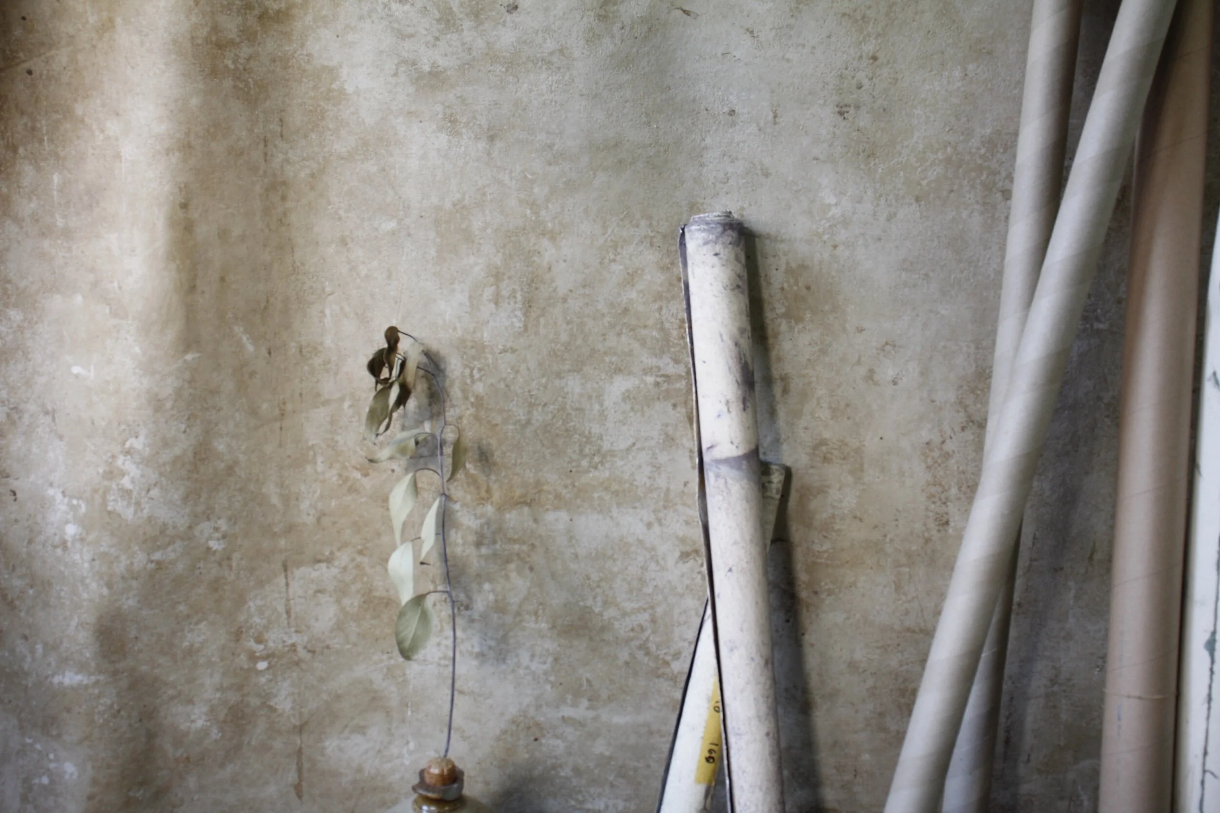 4A0E7791-C495-41C9-A18F-F8793848E9CF