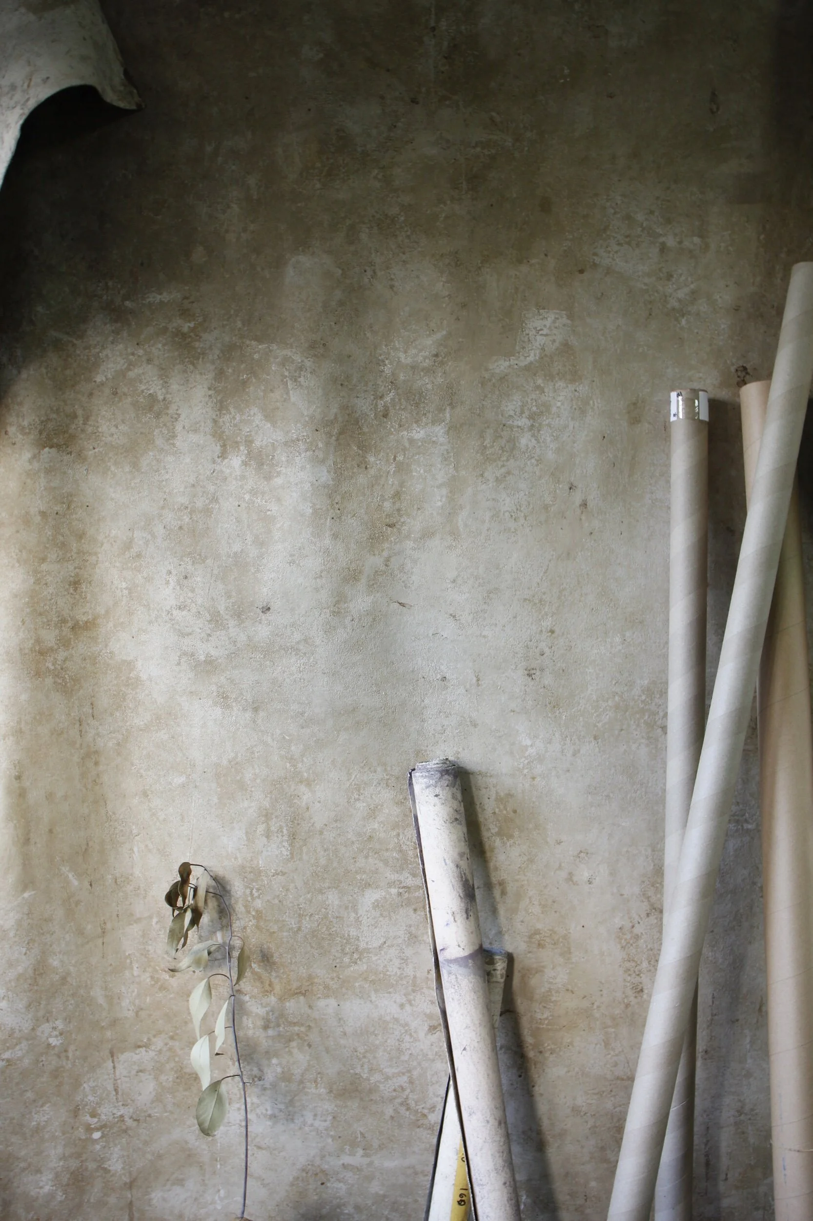 55B38E7F-93BE-4380-81E4-698BD381C512