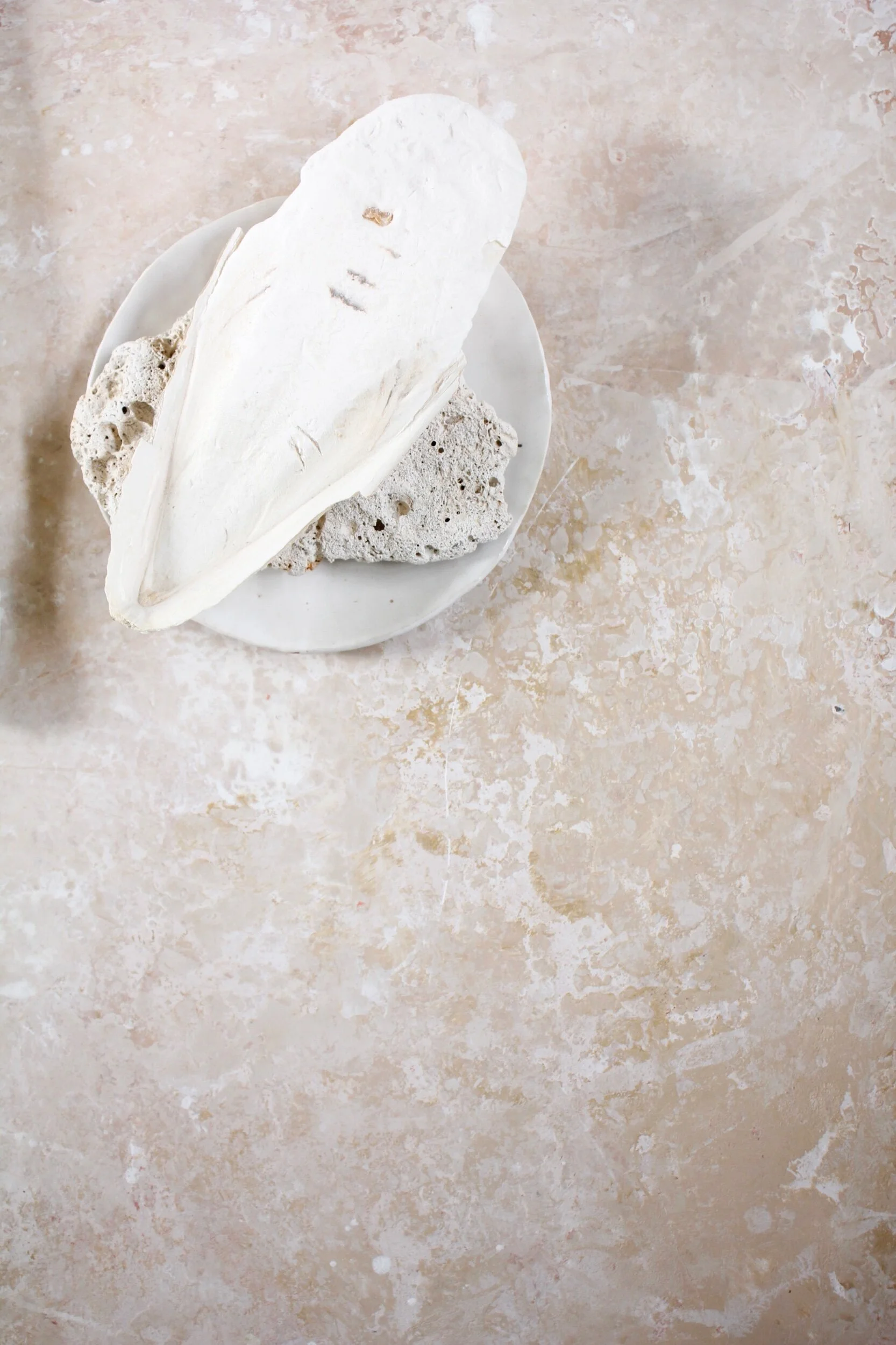 11744DF4-831E-4BE3-833C-B727DE2634E5