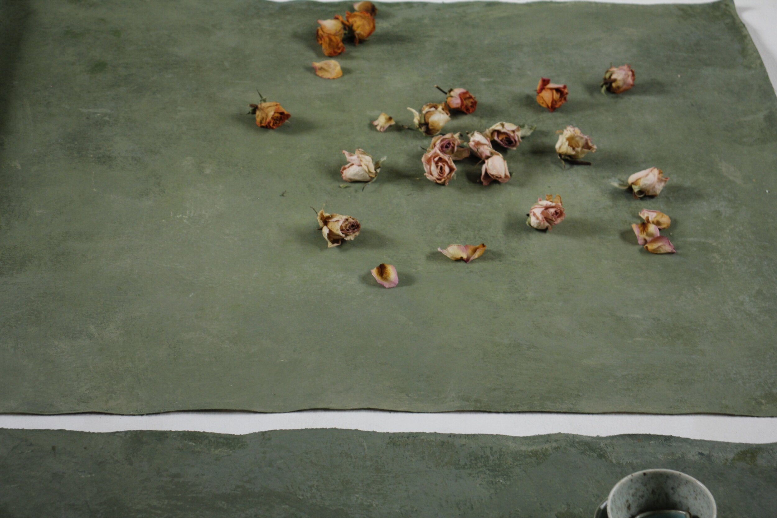 D7103368-0D3D-4079-AE64-79119D660CC2