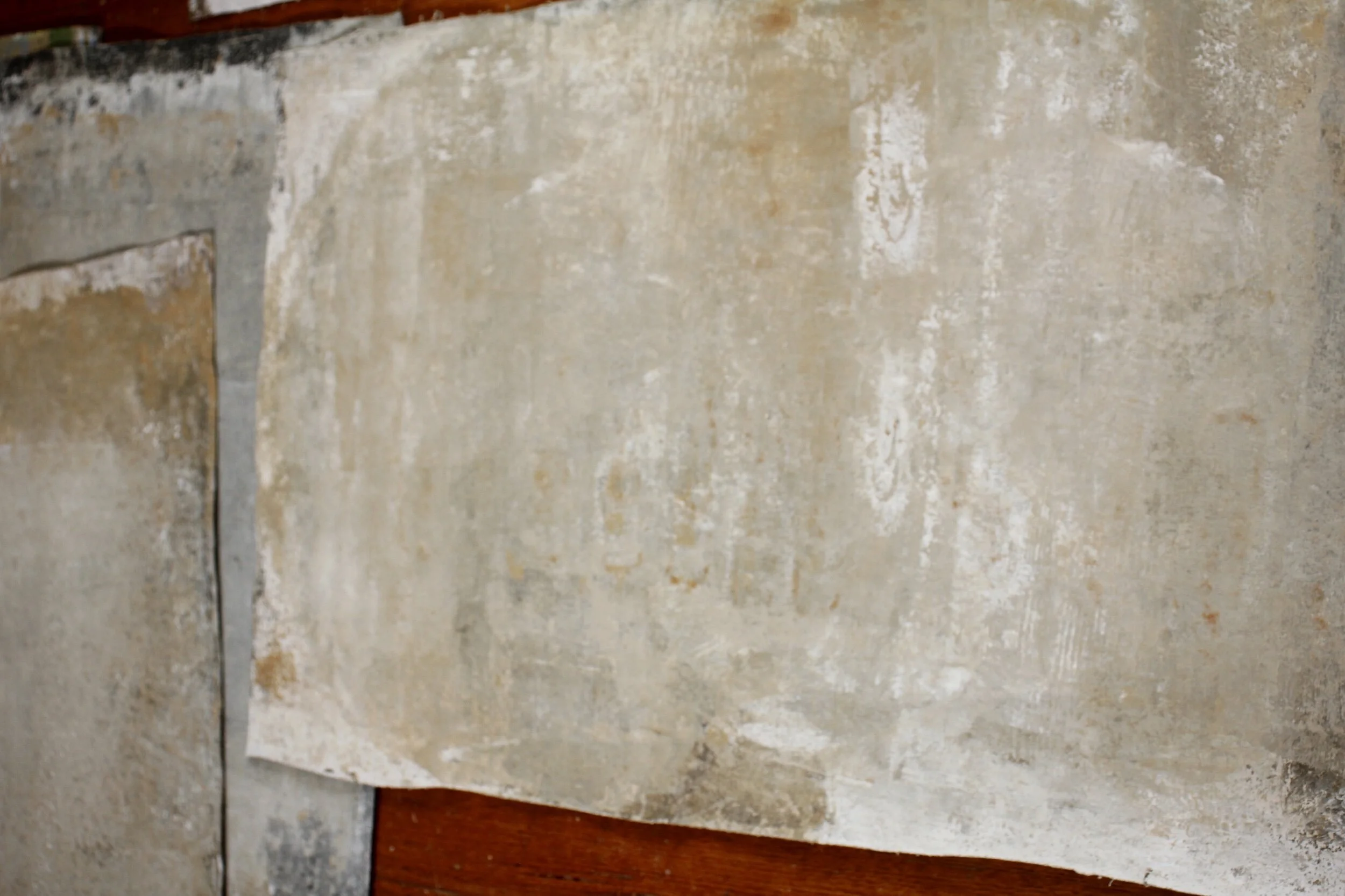 2598A1F7-085E-4692-BEEF-8C23060B9B79