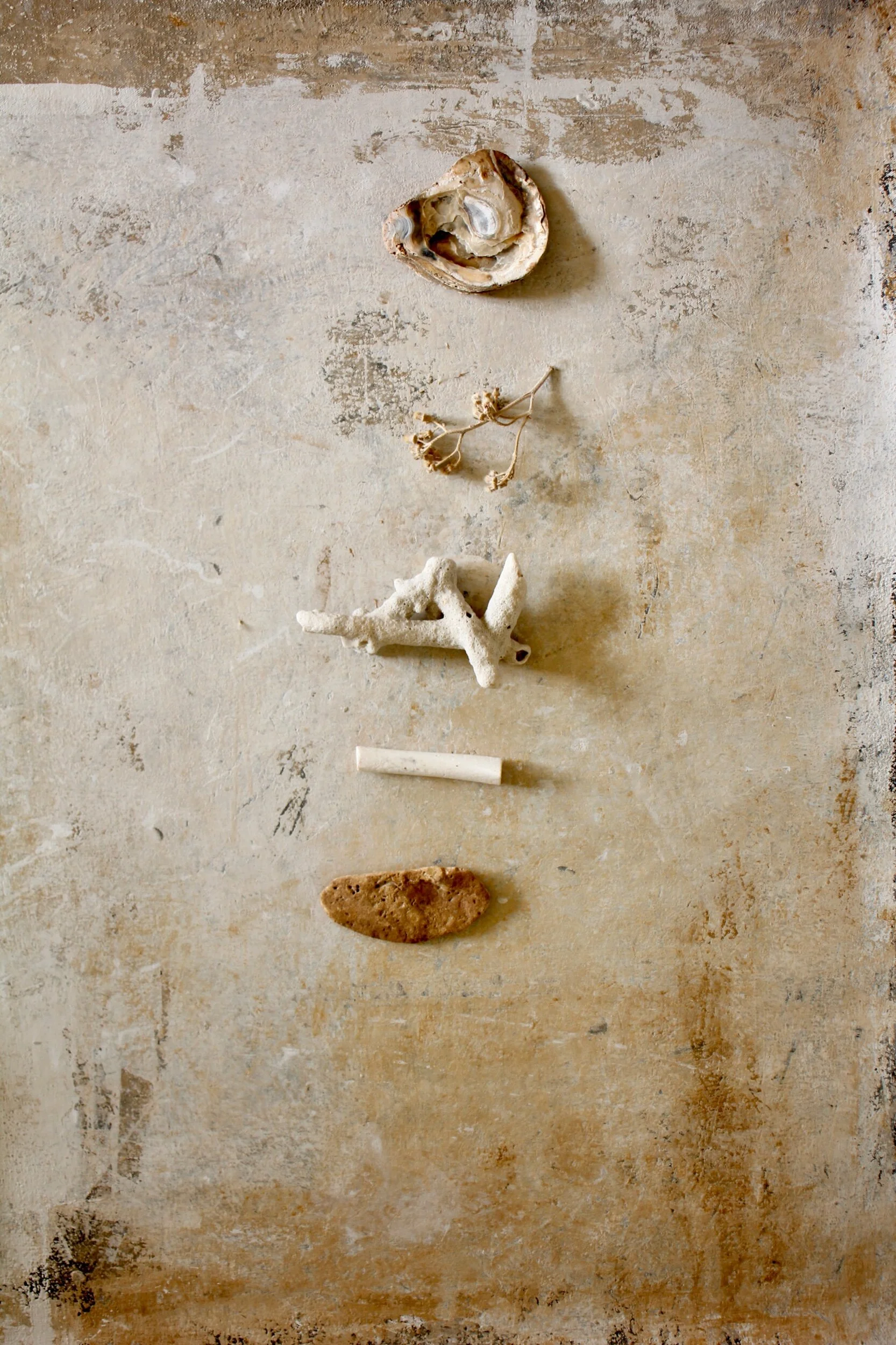 869AFEA1-1F3D-458C-9301-0487989B0131