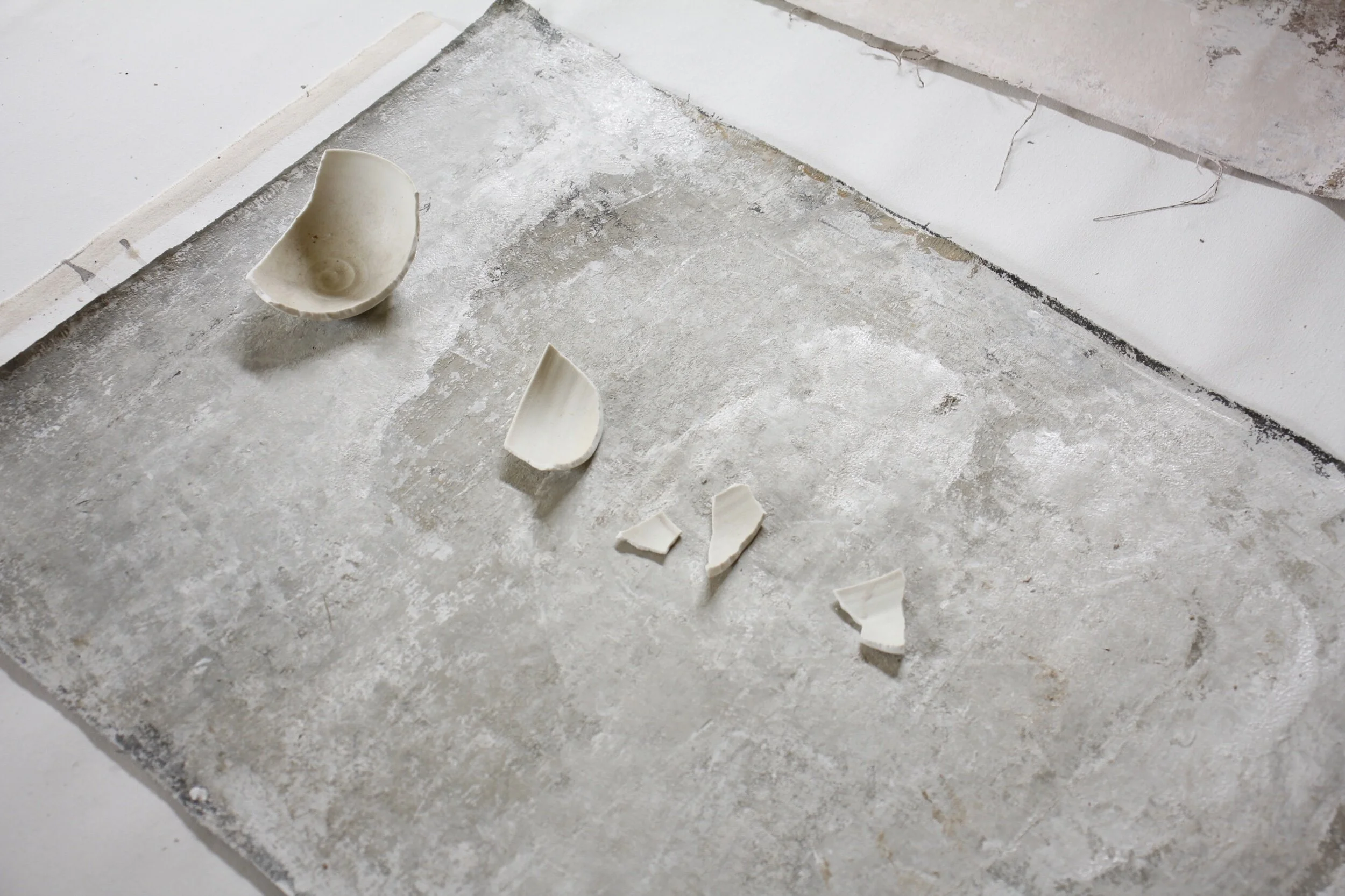 B4AF2B64-645F-48B3-85F9-936F96DEC271