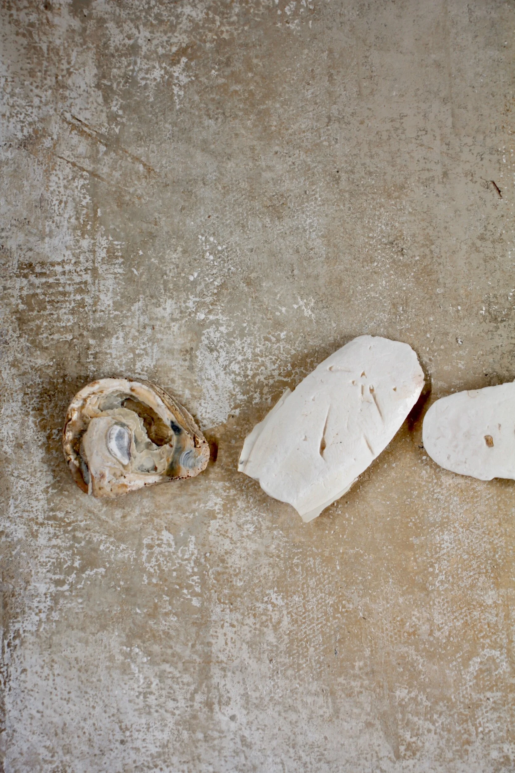 96B02CCC-DA79-43FB-B23C-5315C0250F6F