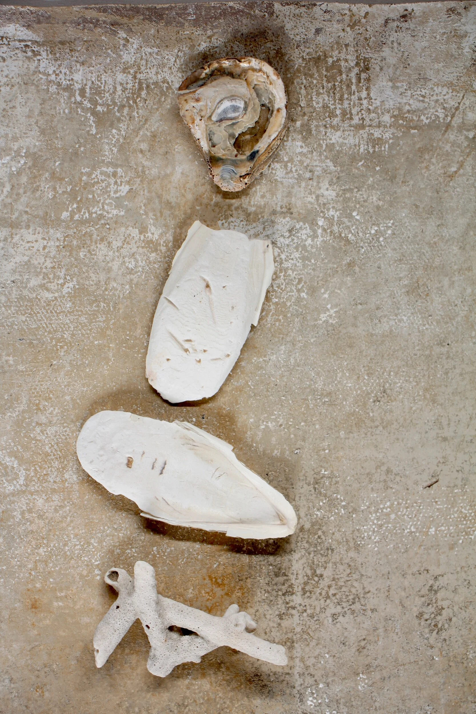 9C77D4A3-A8EC-45C8-B32A-6BA8702FE595