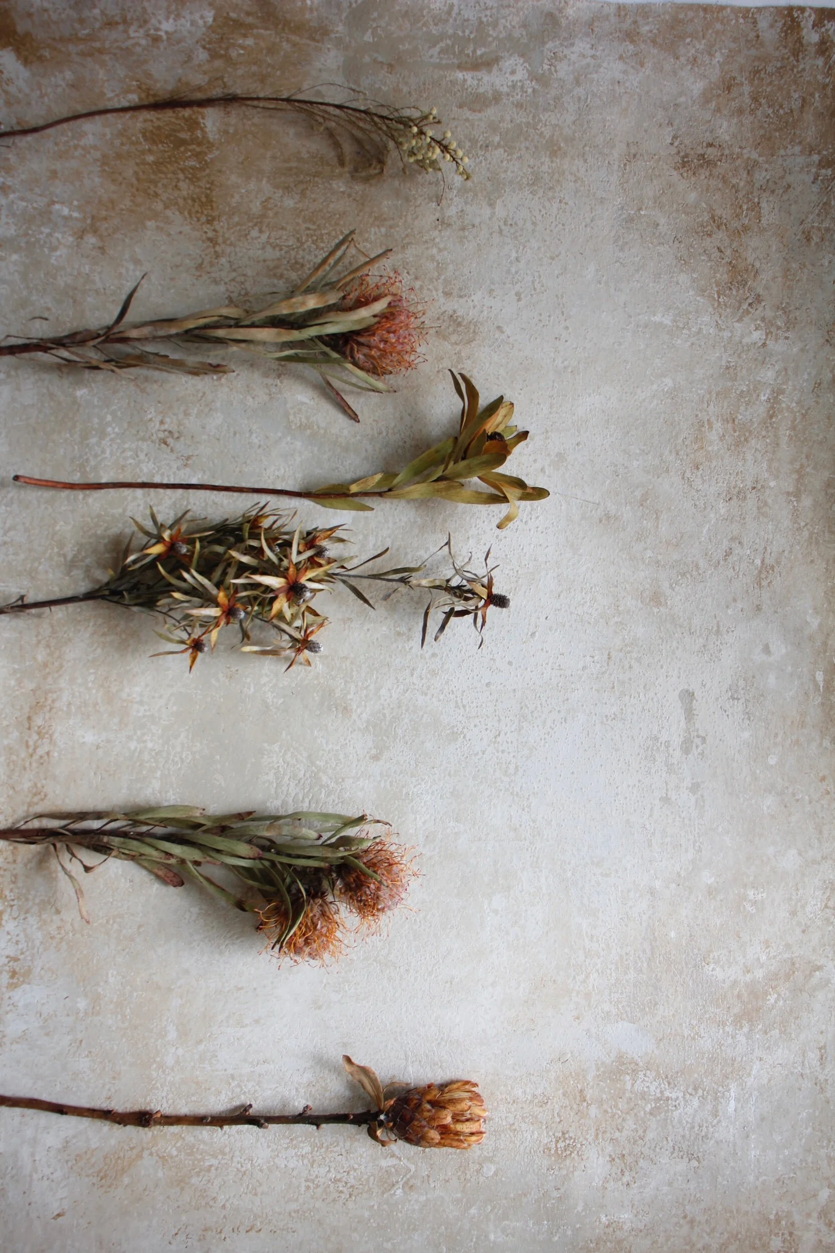 C33D7A96-99D2-43D9-ACD3-089A997F7941