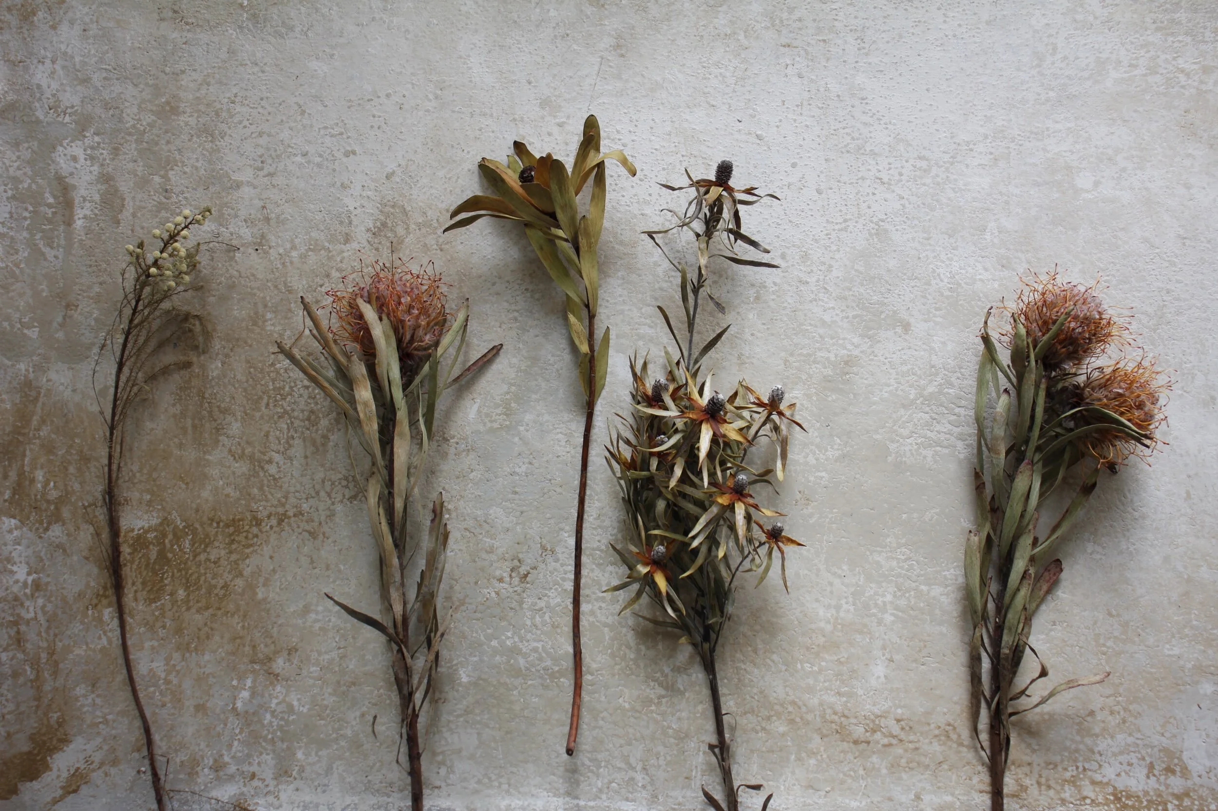 AF08F380-66C8-4725-B013-38EFFA4056ED