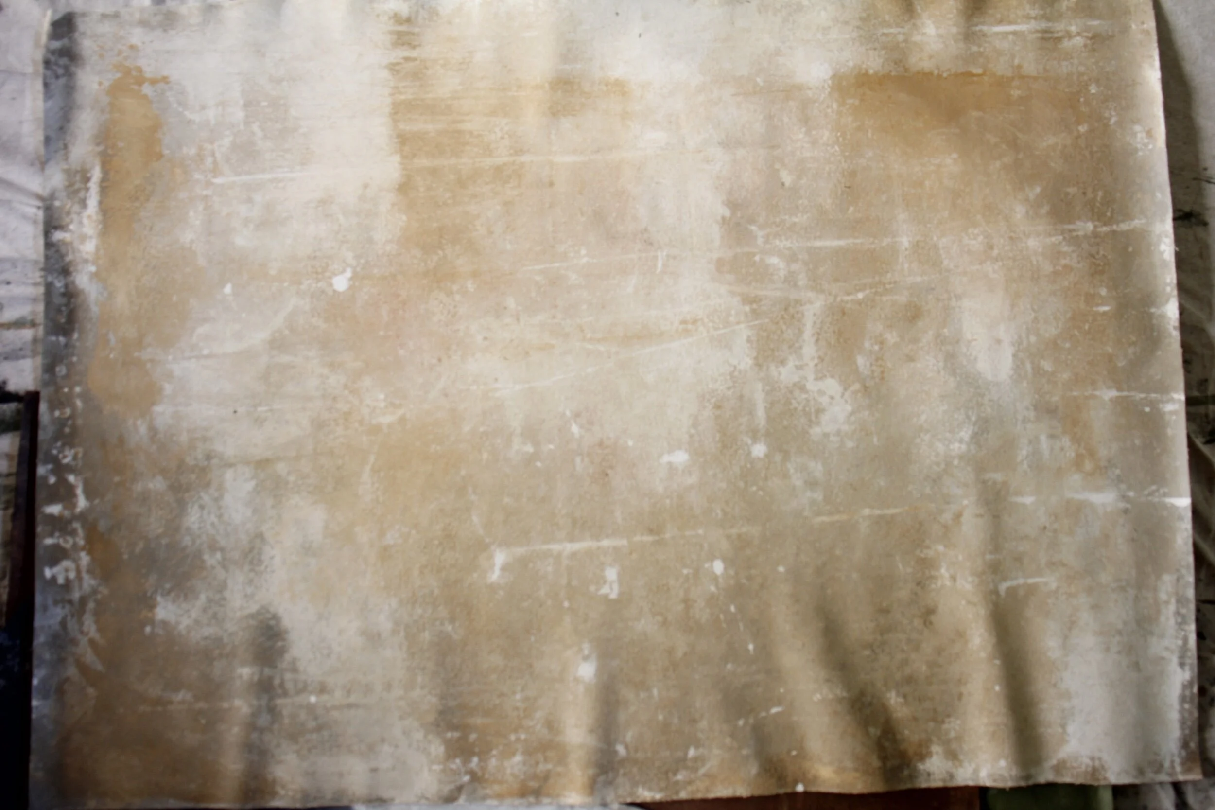 8C61686D-6FCC-4390-BB76-95926C0FDAF0