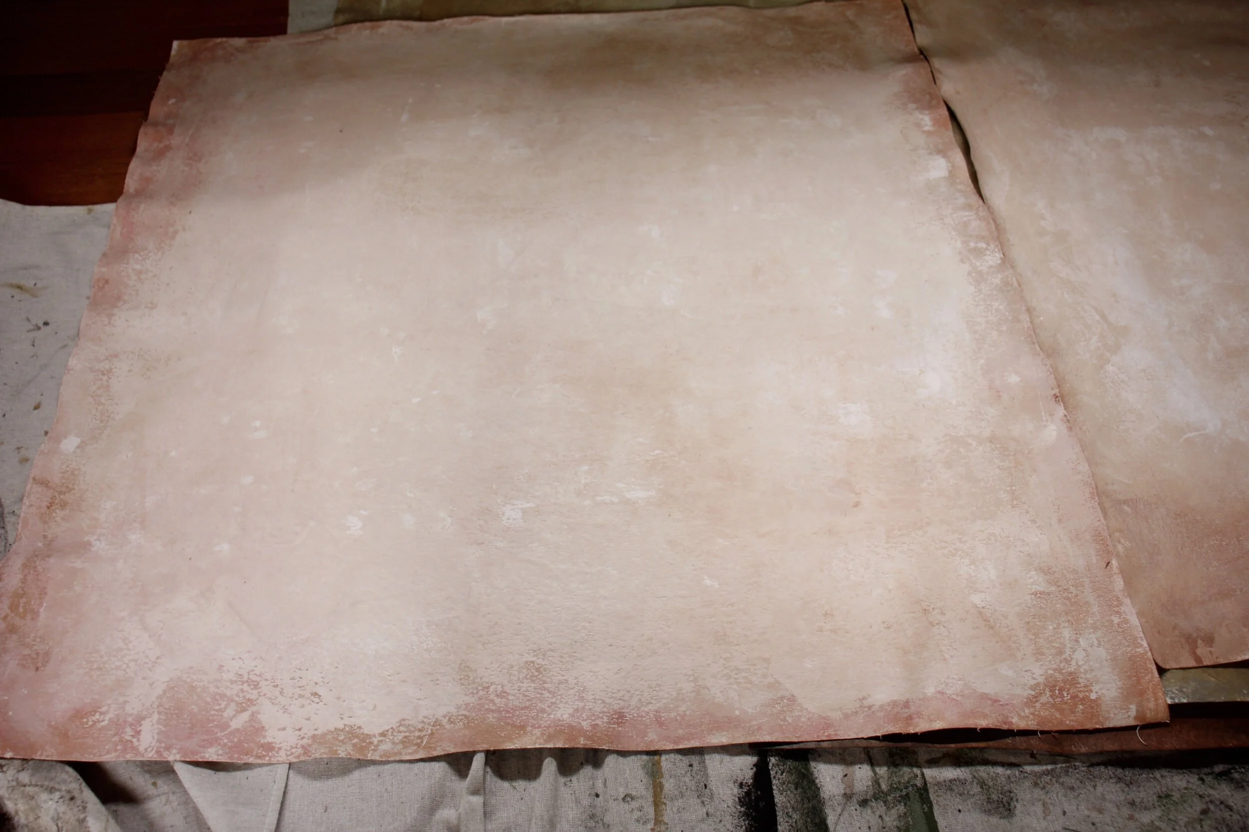 51789397-FCA5-4231-AA4C-1C3A28A159EA