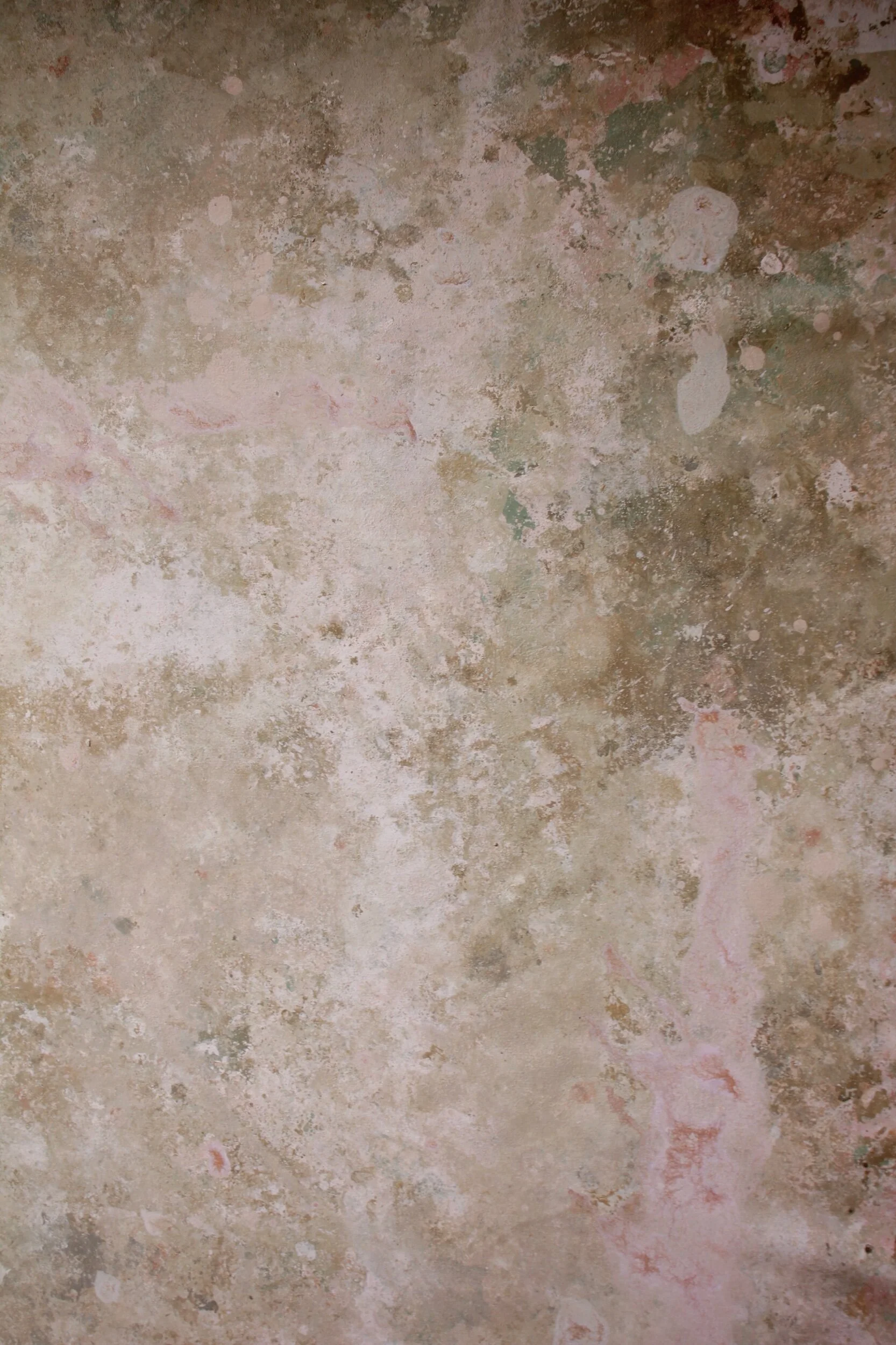 9B9AF9CD-E4C3-4F2B-854C-46CE928280DB