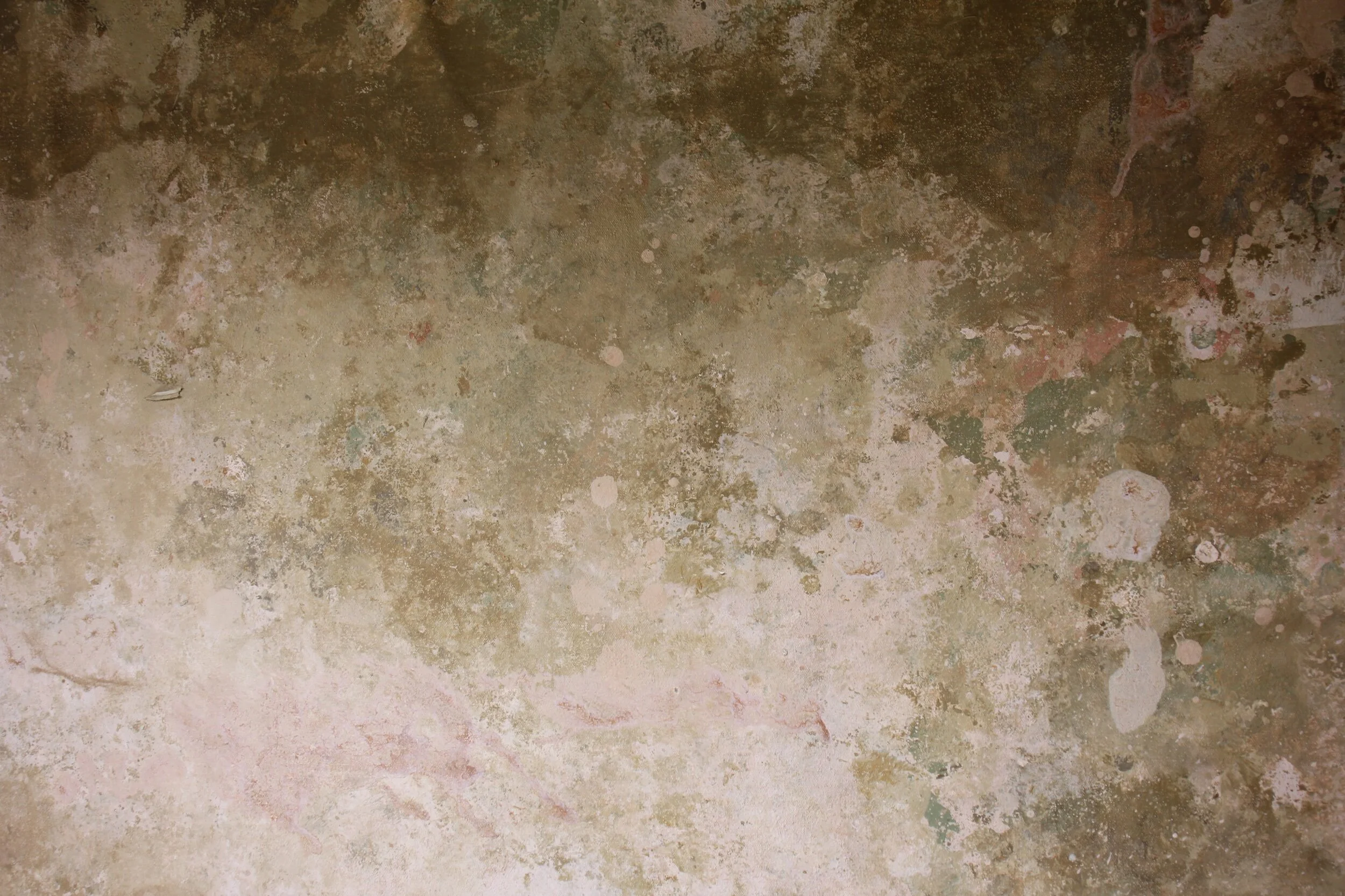 323F9309-704B-4695-99B7-5F2191DA98AF