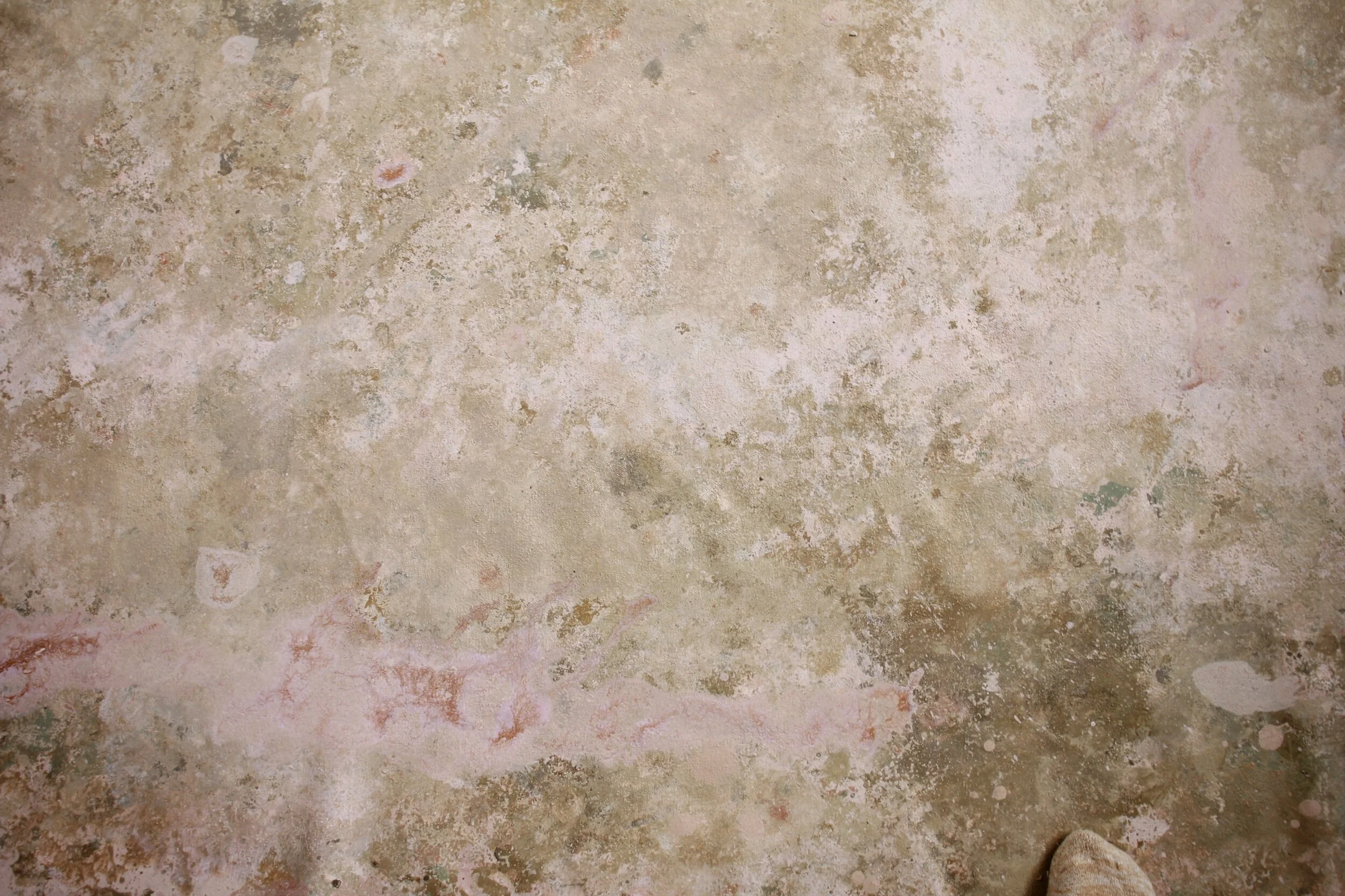 0521E412-44C3-48A0-A659-1A5D8869EE3E