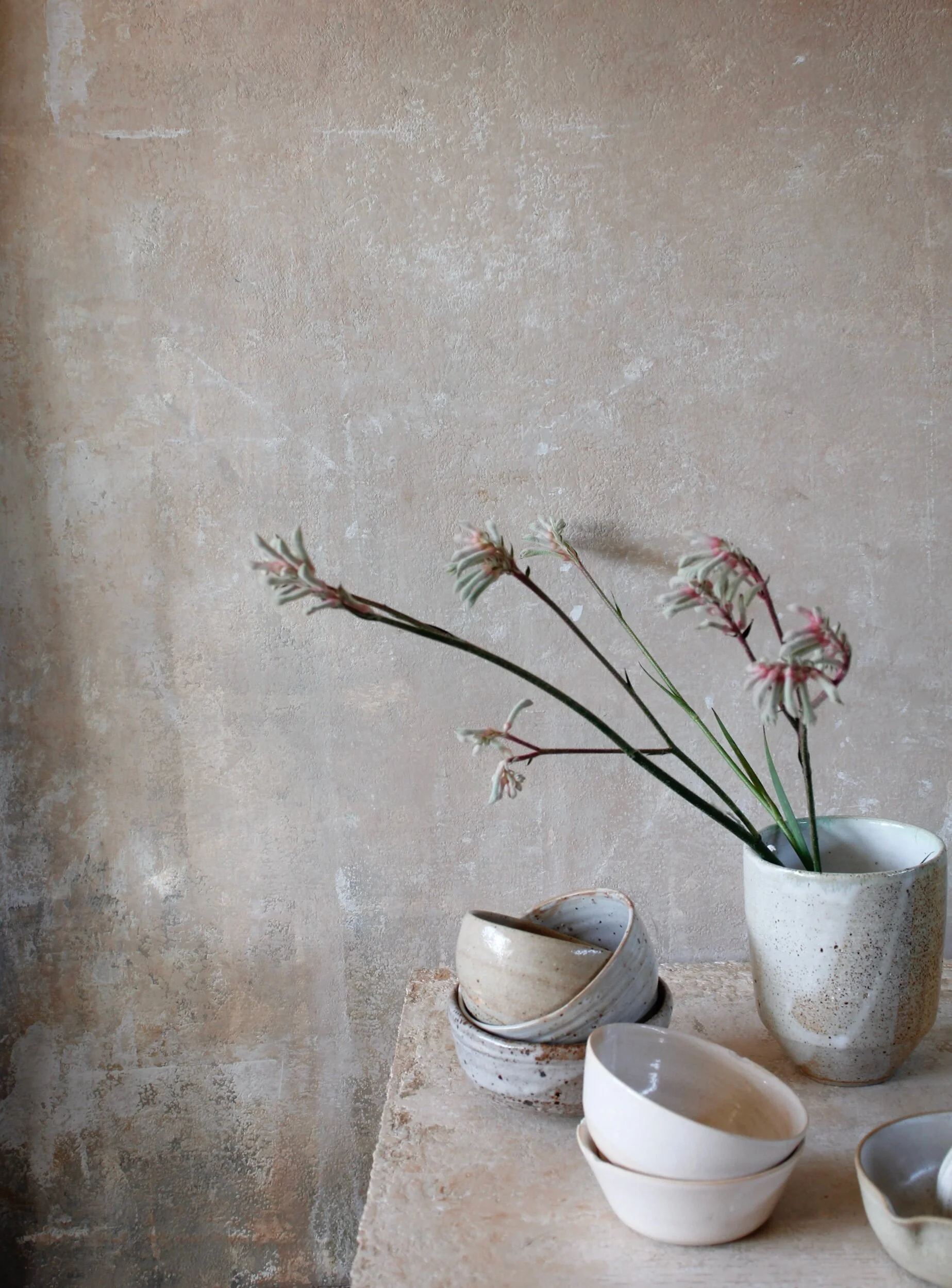 AA00D4E5-498B-4A29-92F7-8B944E037E5A