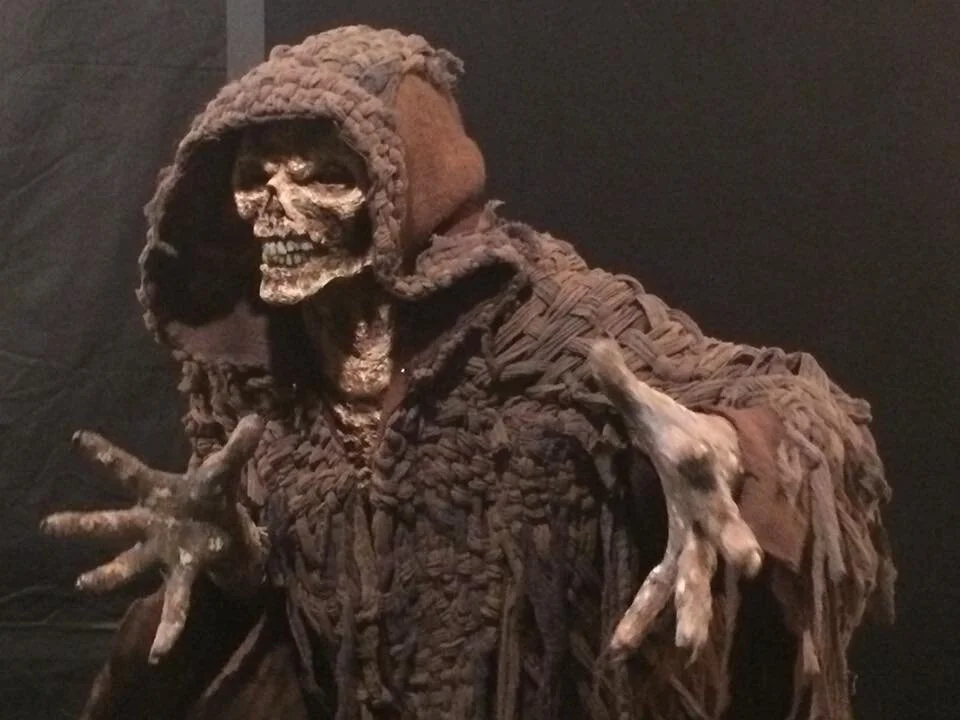 Hand dyed and woven textile for Salem S3