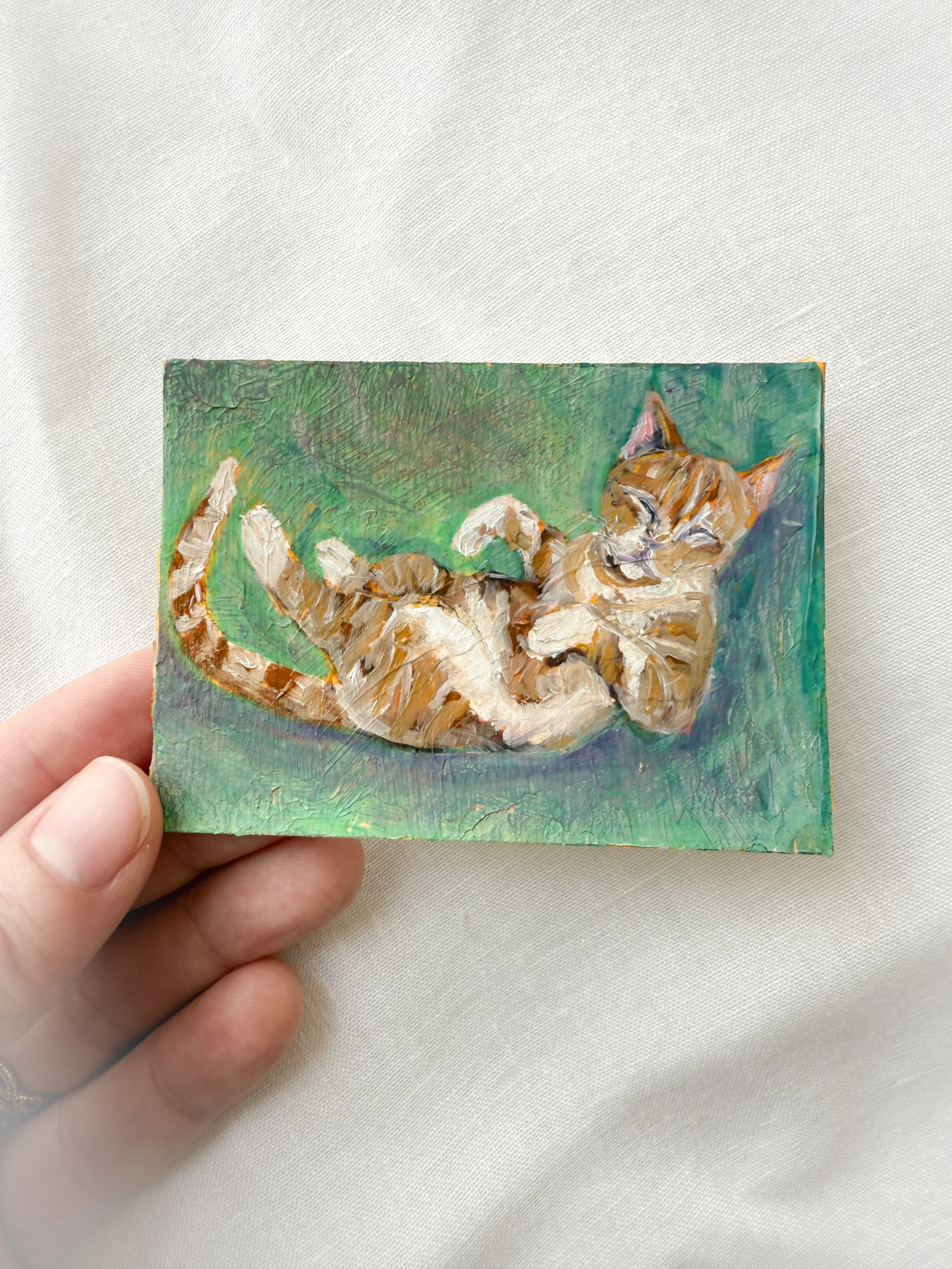 orange boy 3 ACEO by artist Renee Machan.jpg