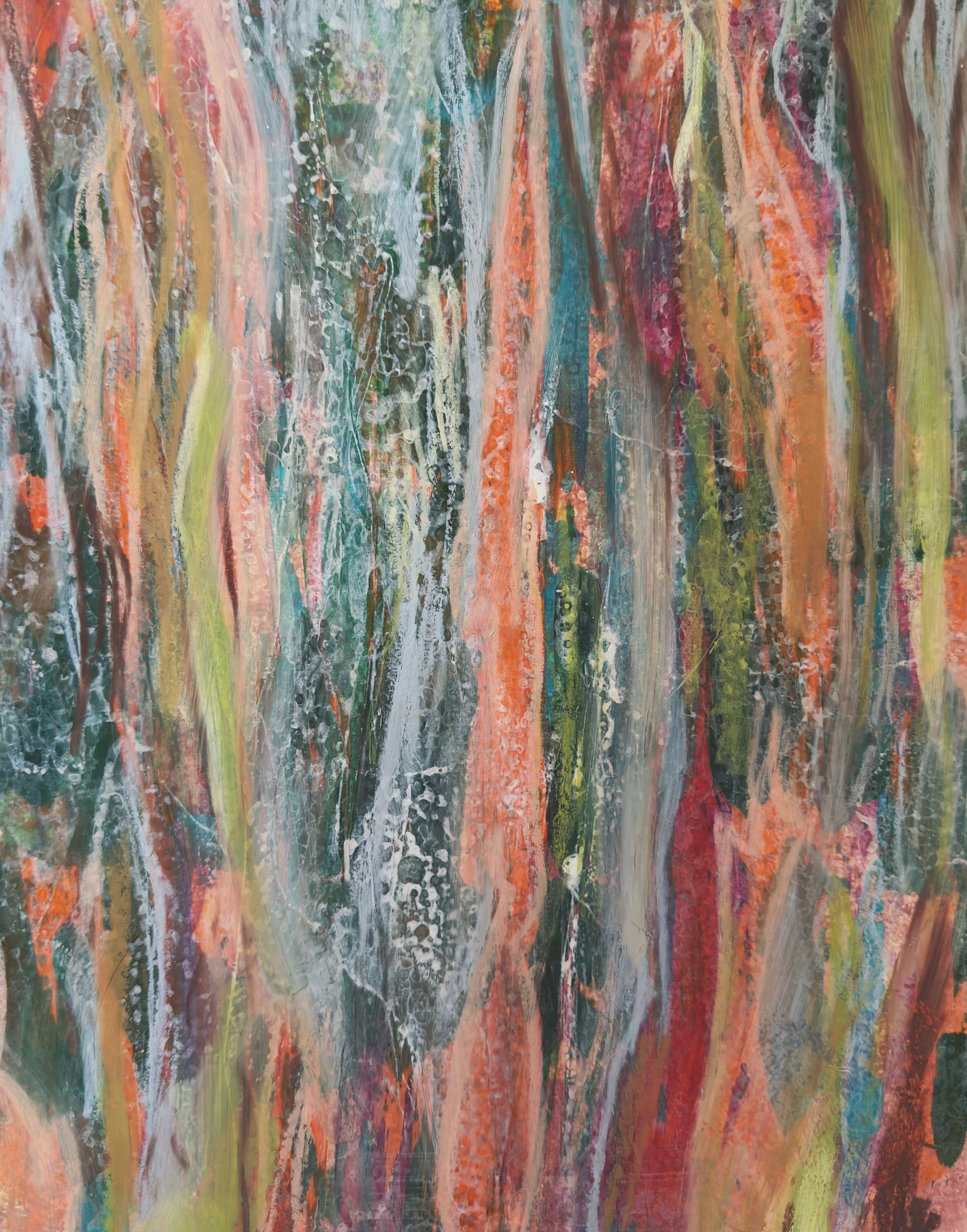 Gumtree Spring Low Res.png