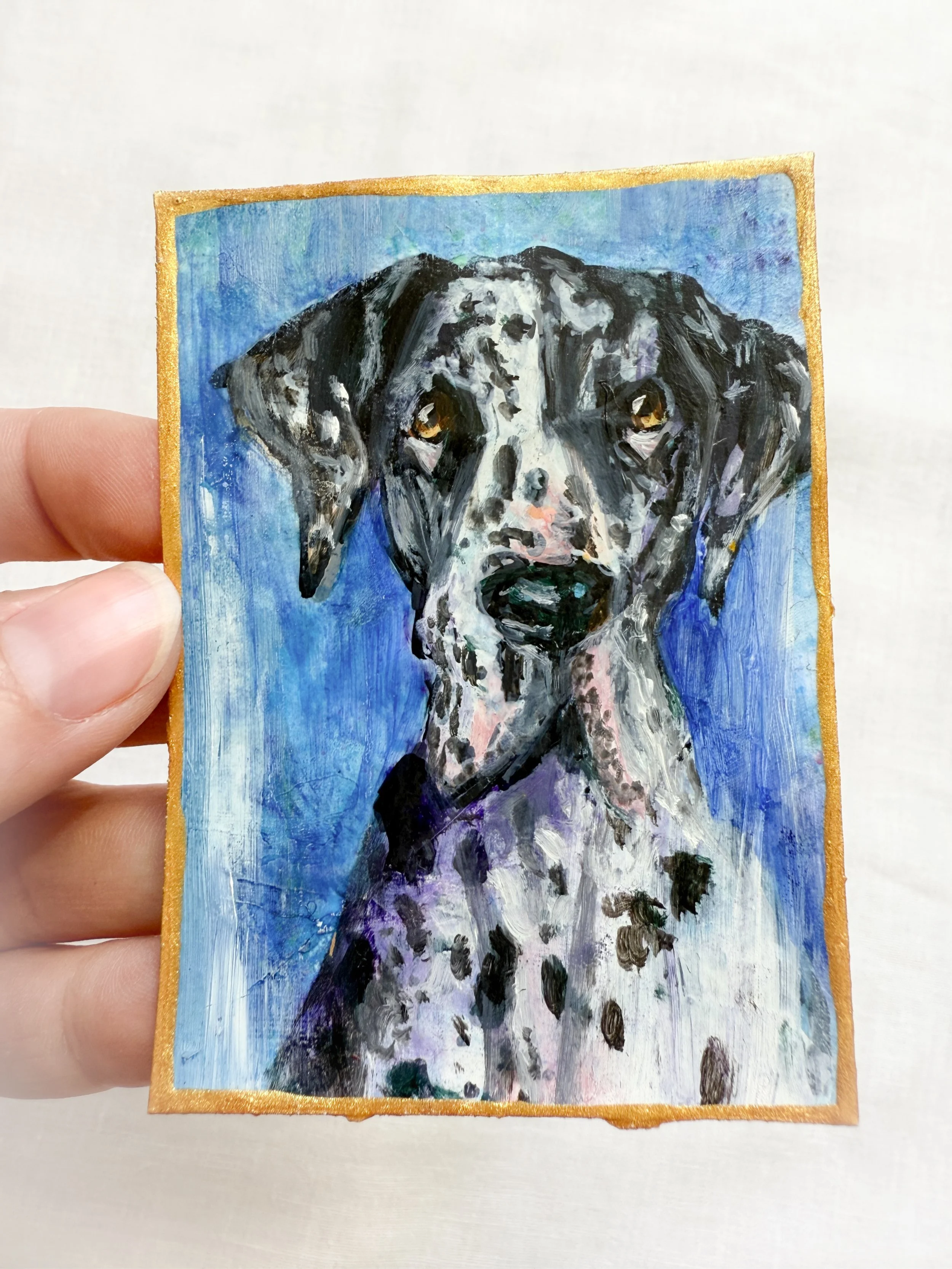 dalmation dog by Renee Machan.jpg
