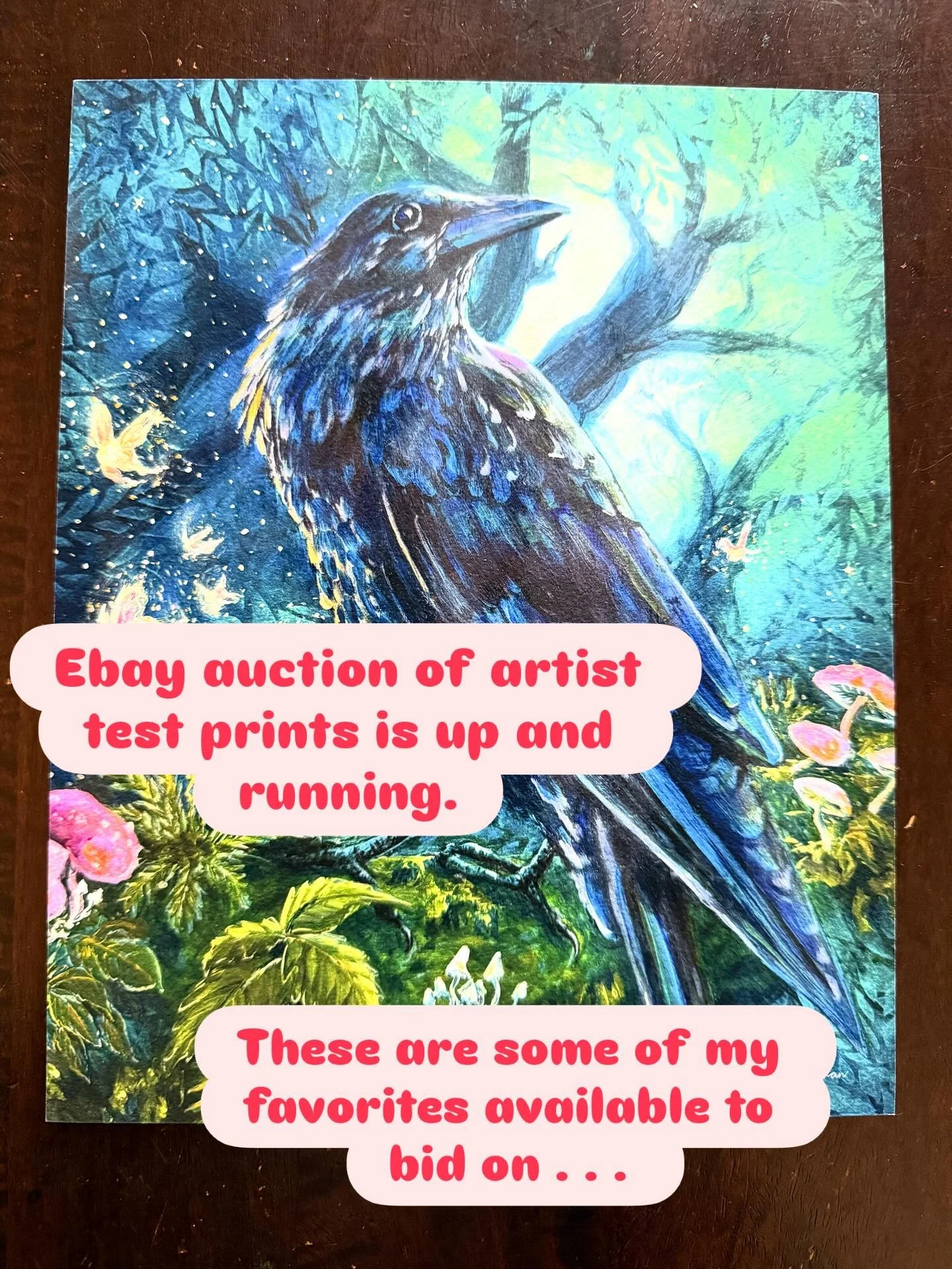 Here&rsquo;s some of what is now available to bid on! These special pieces are part of my studio clean out sale, available for only one week. Bidding is open. The pieces shown here are all one of a kind artist test prints. There are two of each - one