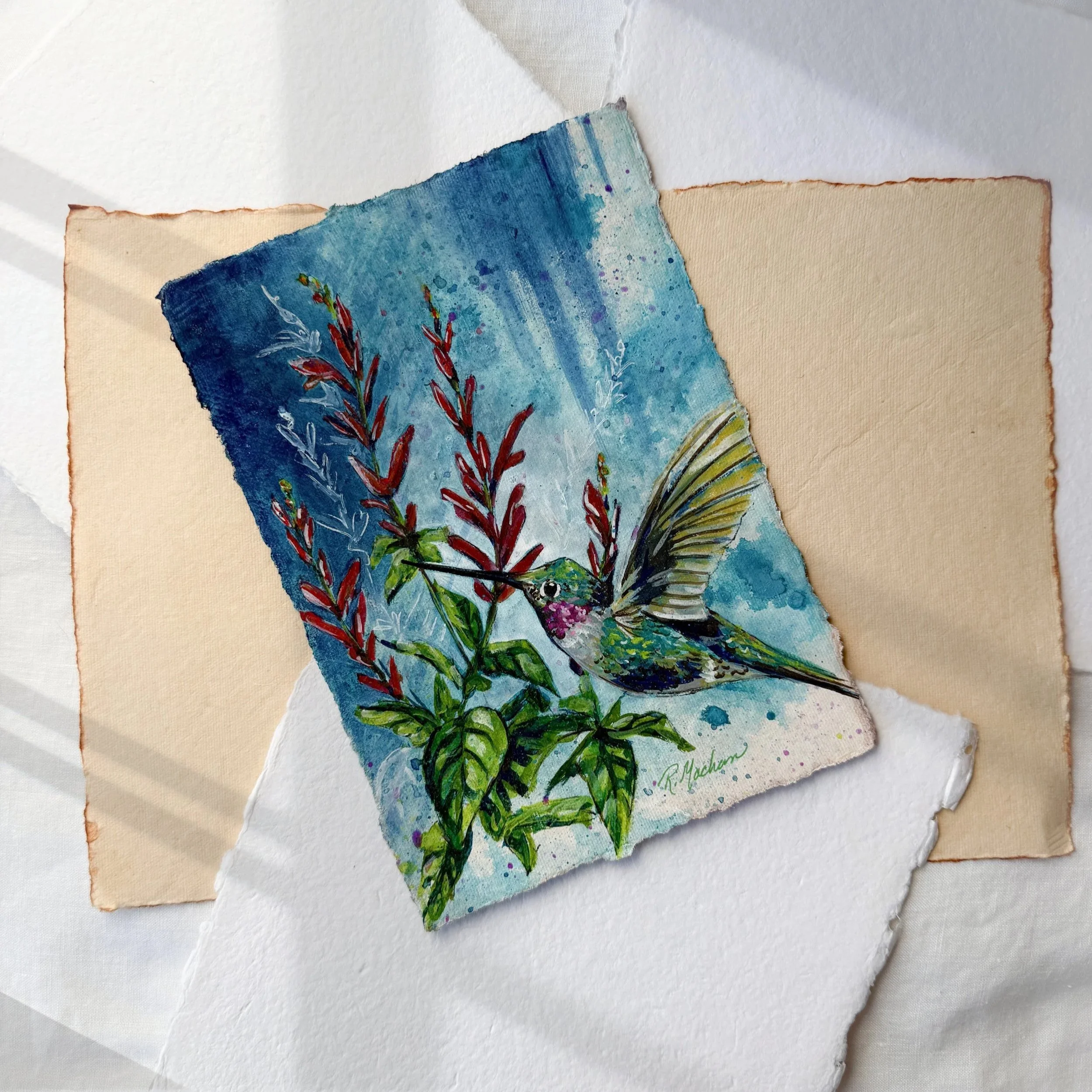 Hover+original+gouache+painitng+of+a+hummingbird+by+artist+Renee+Machan.jpg