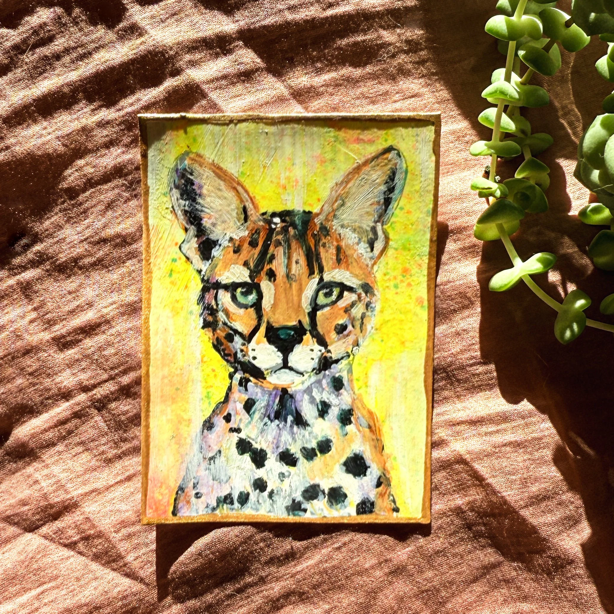 serval cat.jpg
