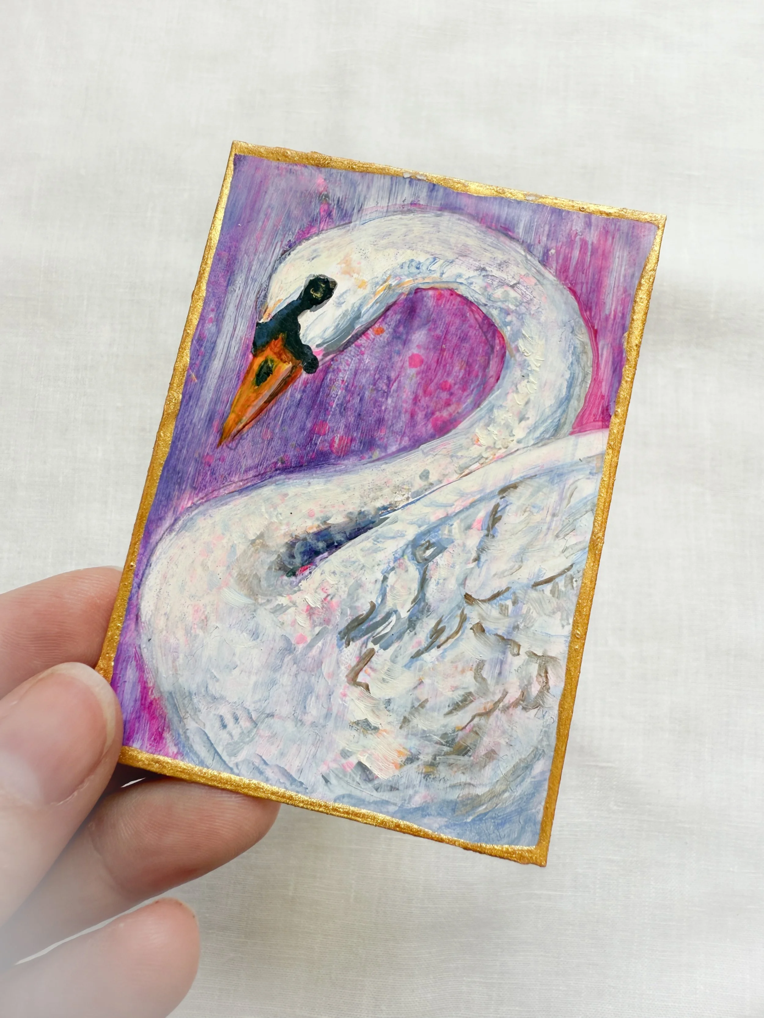 swan by Renee Machan.jpg