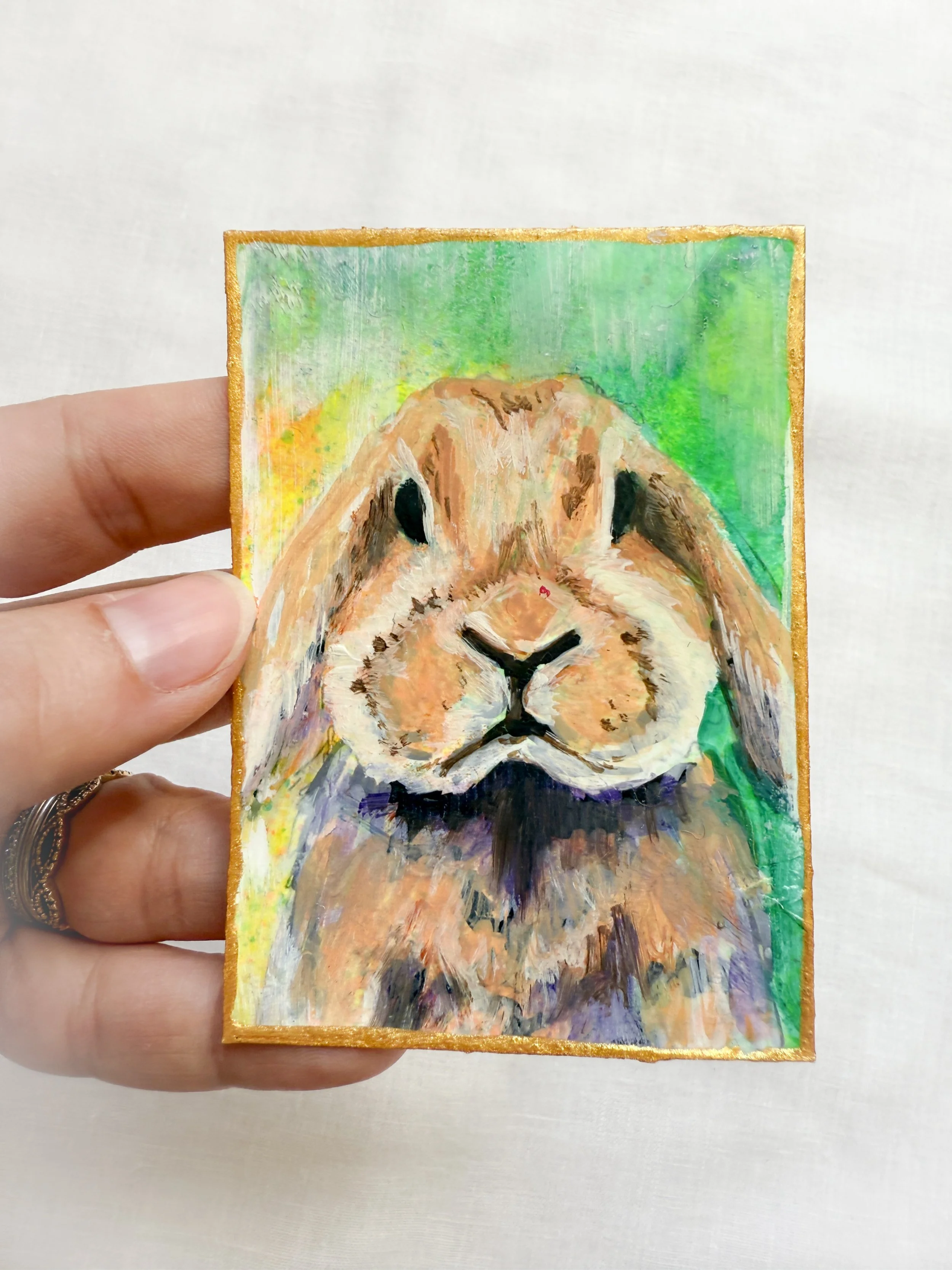 flop eared bunny by Renee Machan.jpg