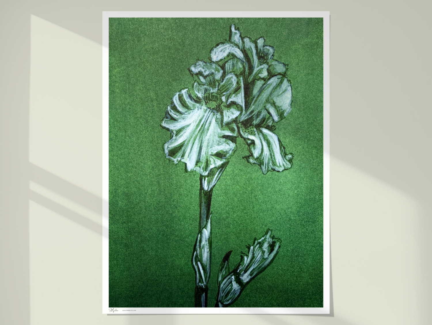 Iris on wall poster mockup.png