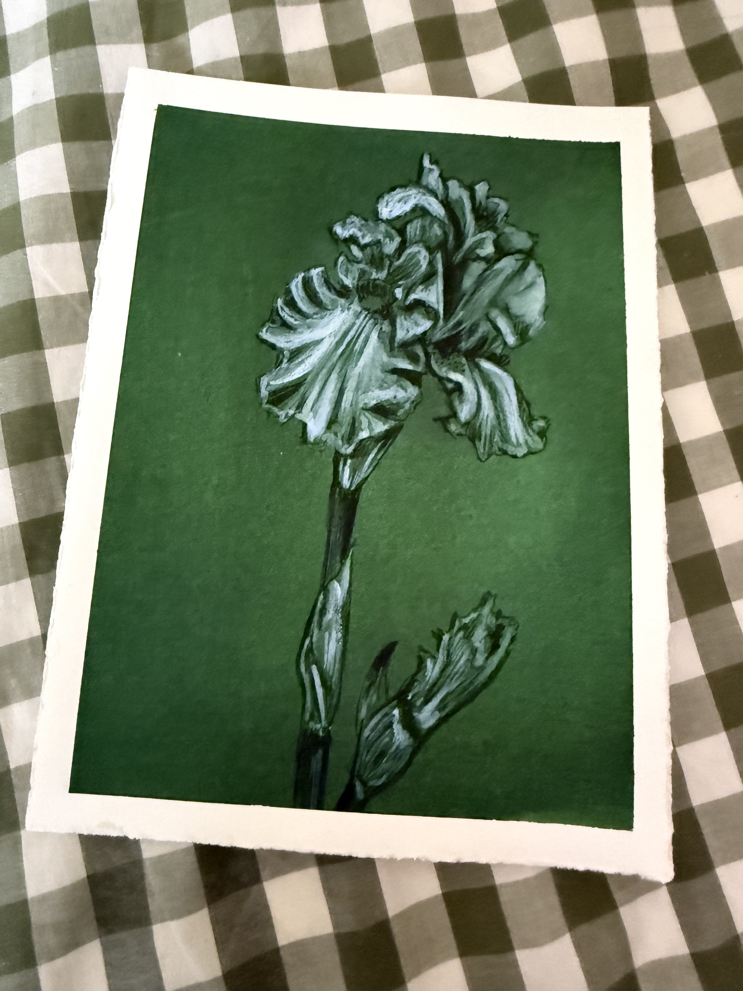 Iris Green Botanicals Original Art by Renee Machan 2.JPG
