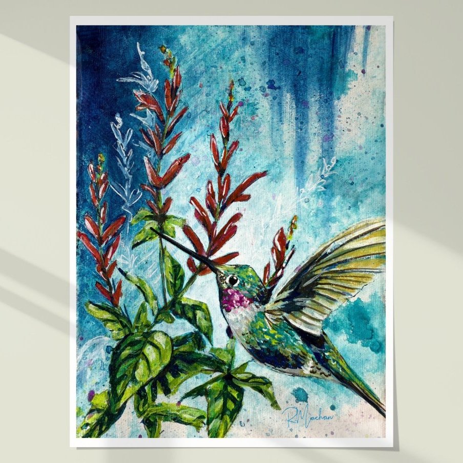"Hover" – Hummingbird with Pineapple Sage, Open Edition Fine Art Prints in Assorted Sizes