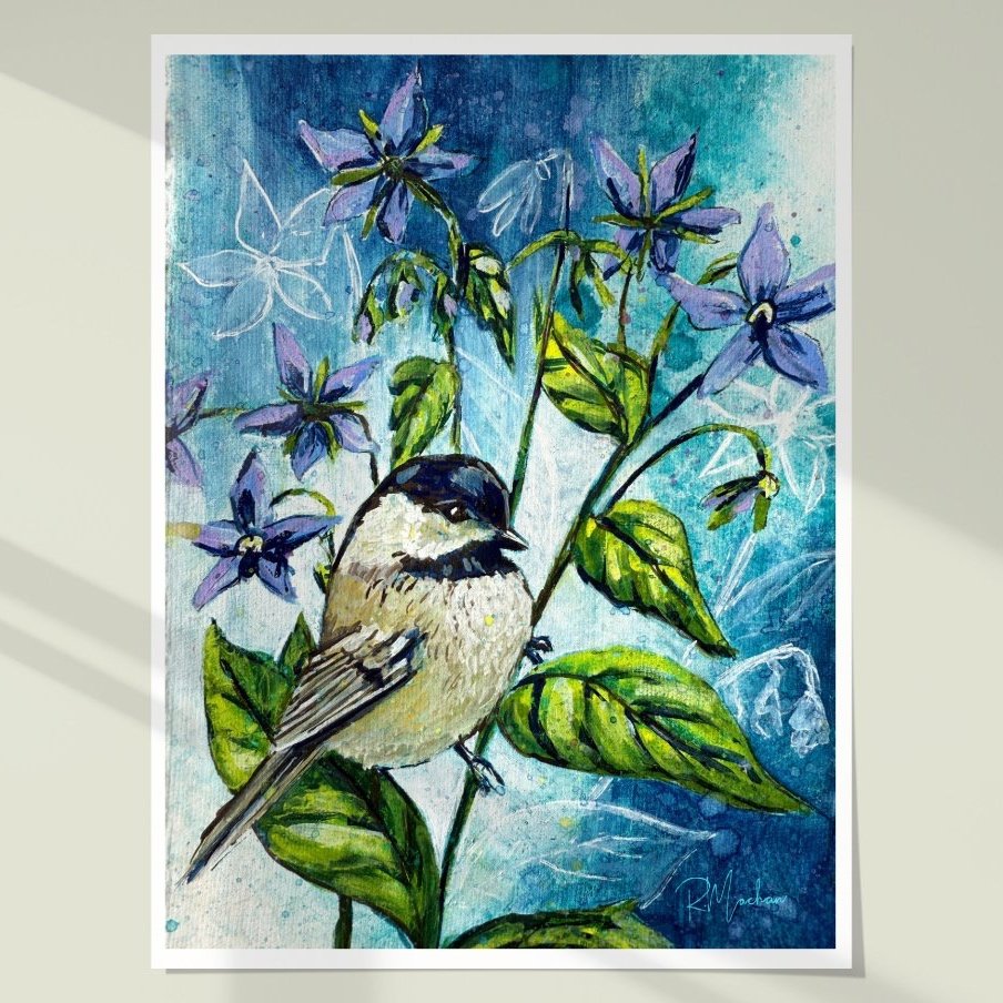 "Blue Stars" – Chickadee with Borage, Open Edition Fine Art Prints in Assorted Sizes