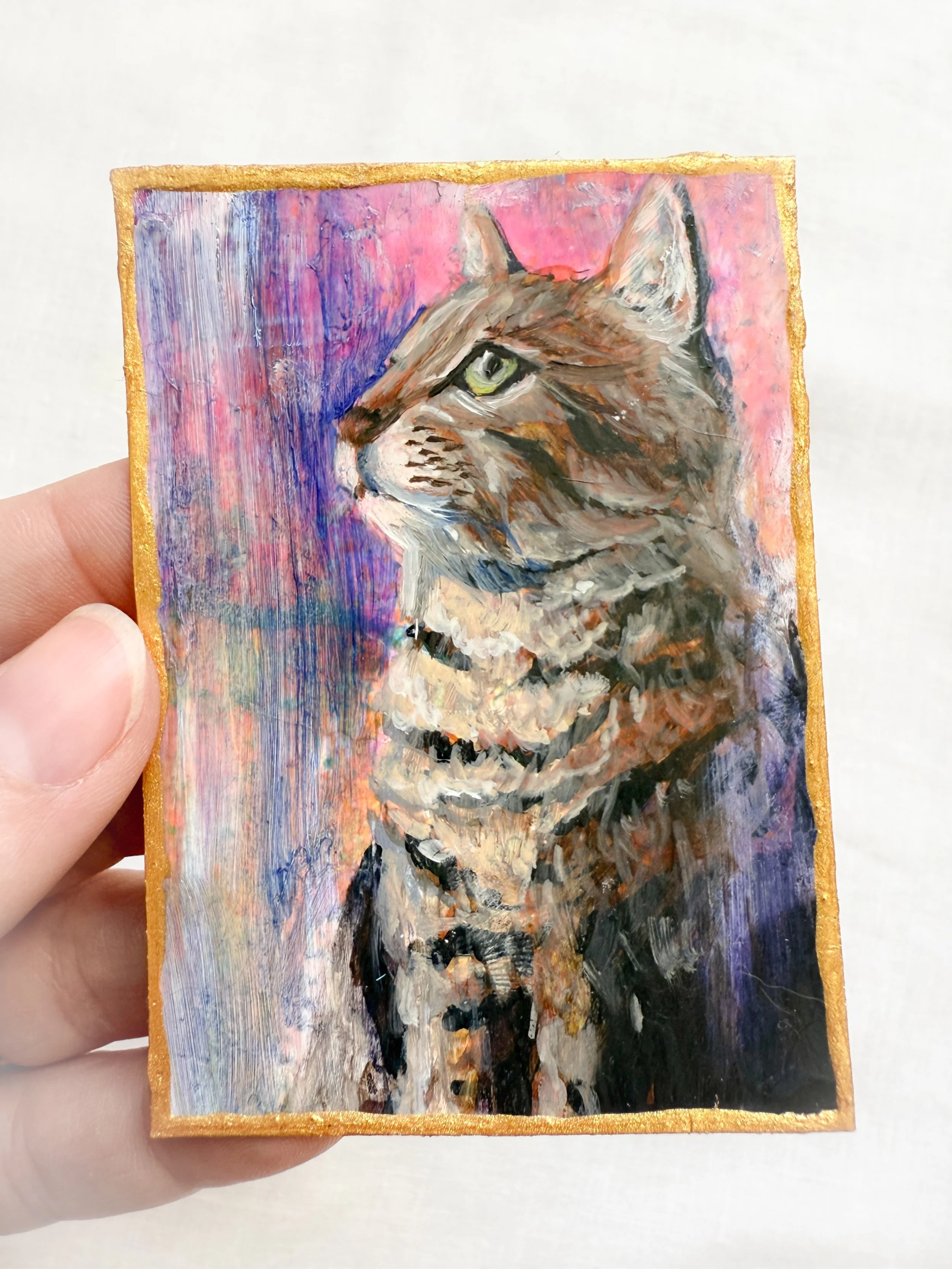 Tabby Cat by Renee Machan.jpg