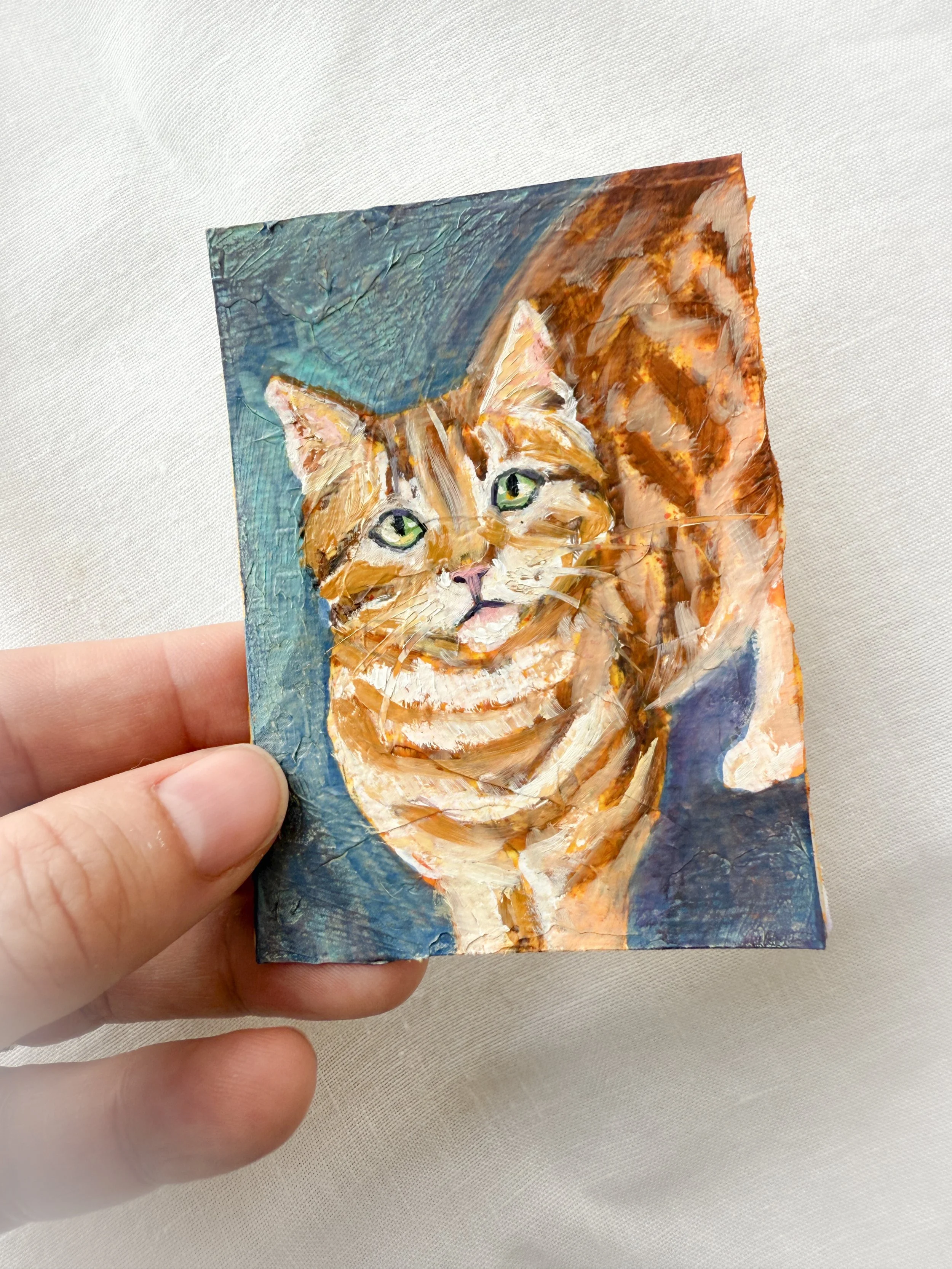 orange boy 1 ACEO by artist Renee Machan.jpg