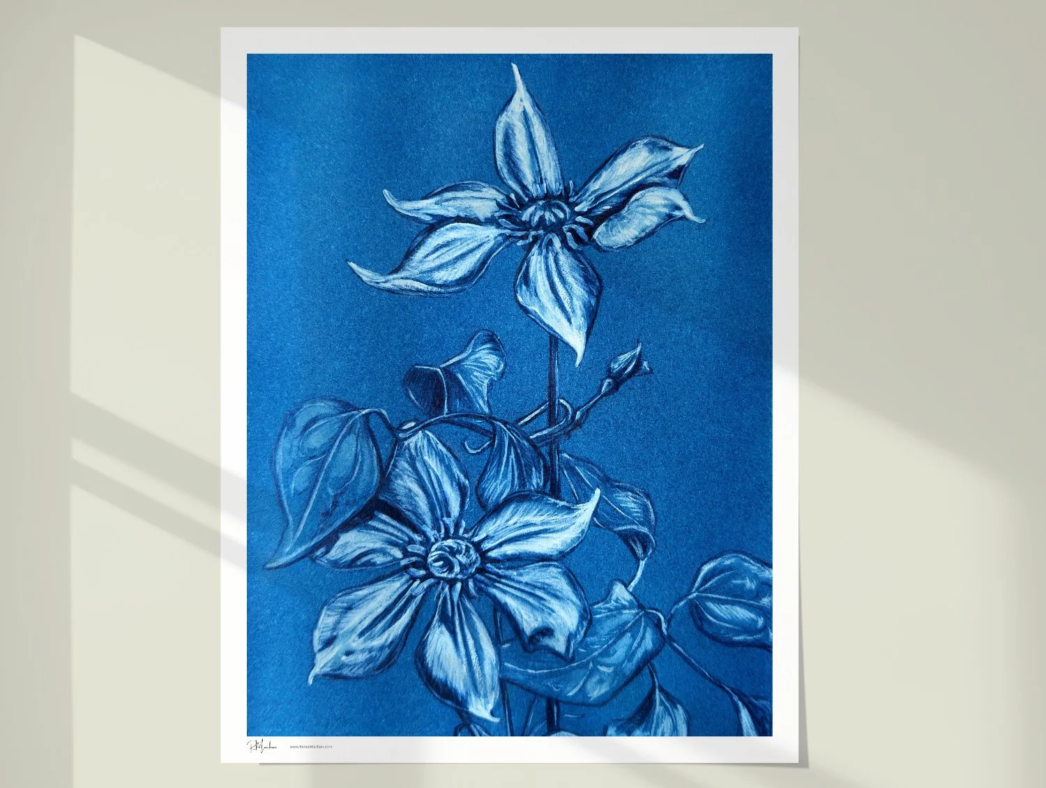 CLEMATIS — Blue Botanicals — Monochromatic Ink Fine Art Print by Renee Machan (Copy)