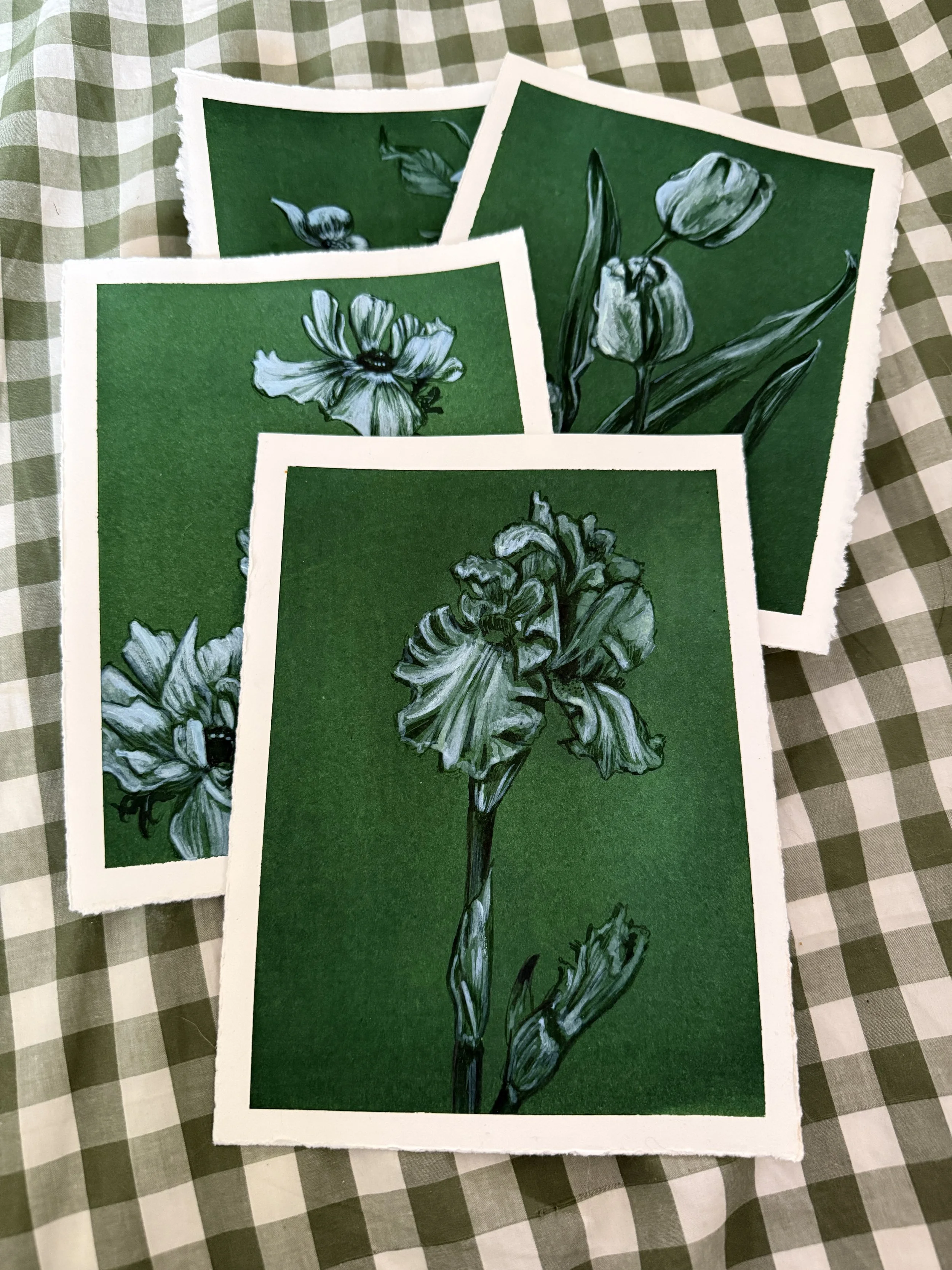 Iris Green Botanicals Original Art by Renee Machan.JPG
