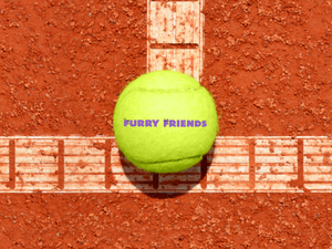 FF_tennis ball_2.png