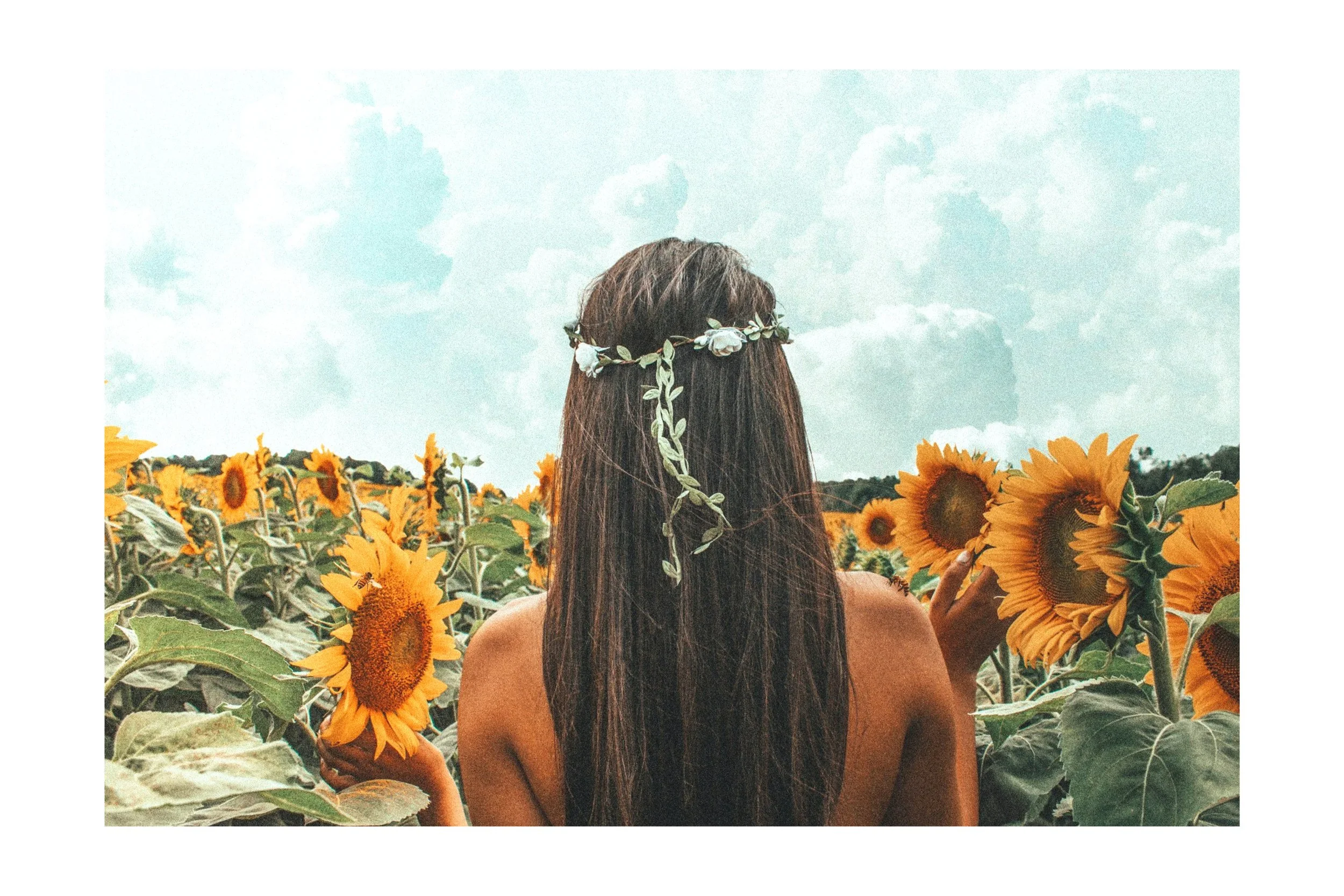 101.  A Vital Energy Field:  Energy Awareness - Foundations Workshop