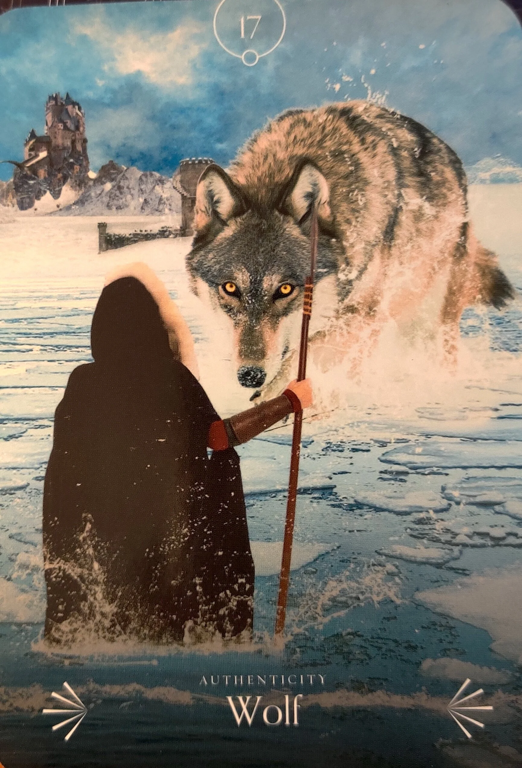 Medium Katherine Weekly Card Reading Wolf.jpg